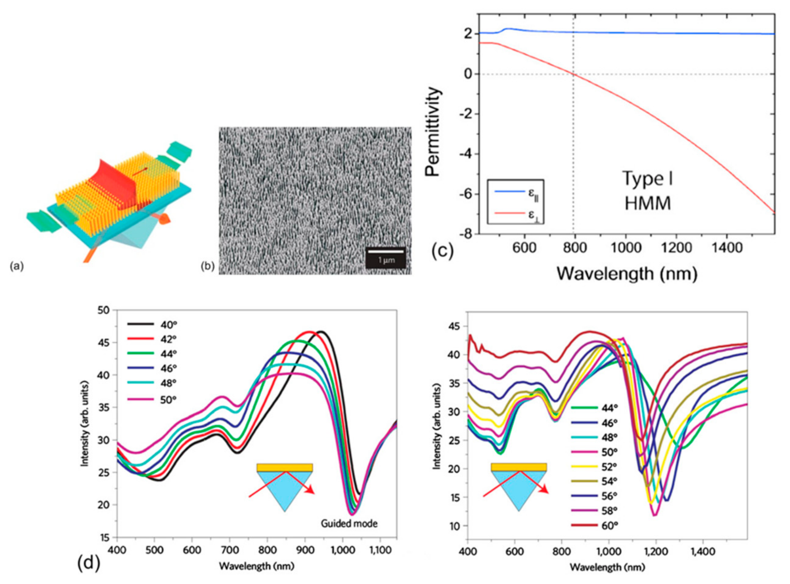 Biosensors 13 00595 g009
