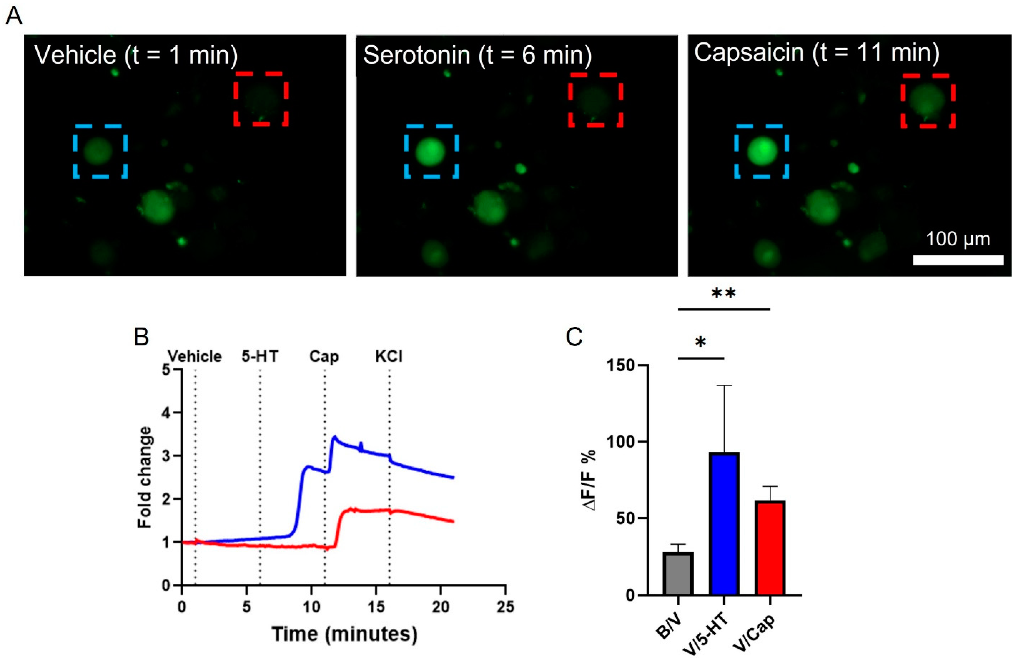 Biosensors 13 00601 g002 Biosensors 13 00601 g002