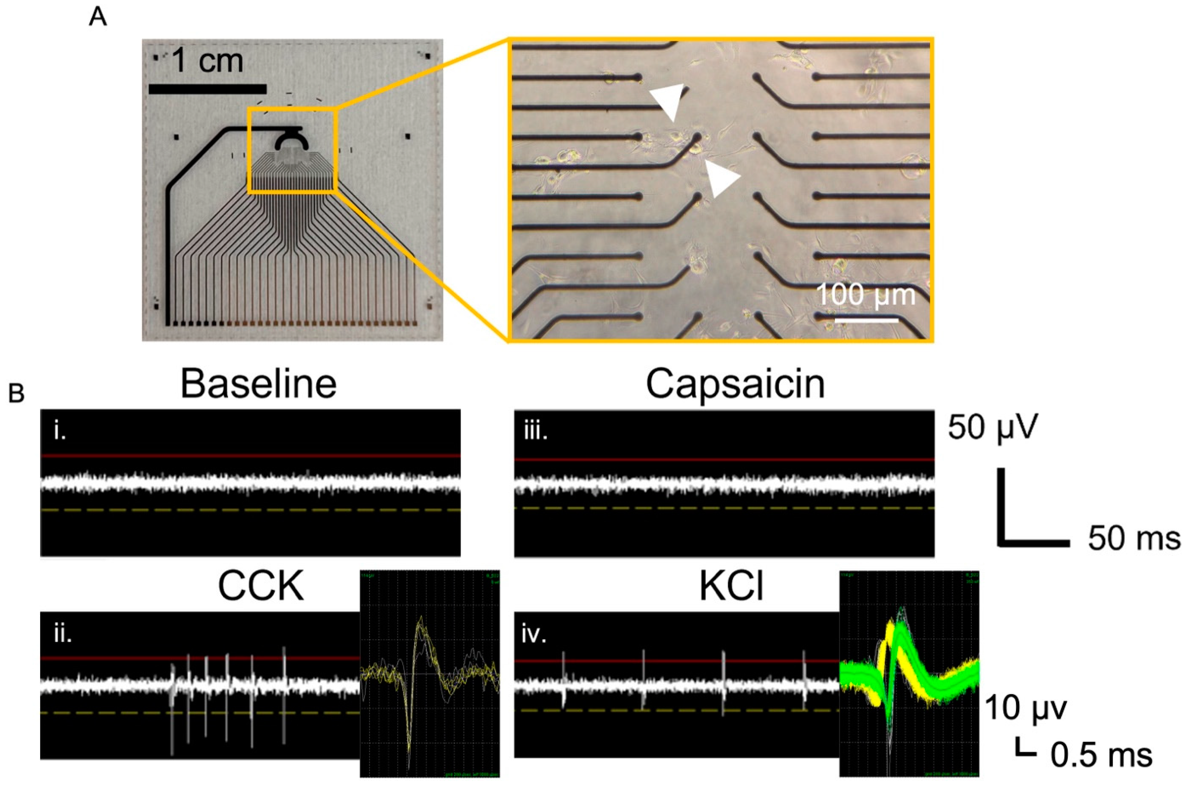 Biosensors 13 00601 g003 Biosensors 13 00601 g003