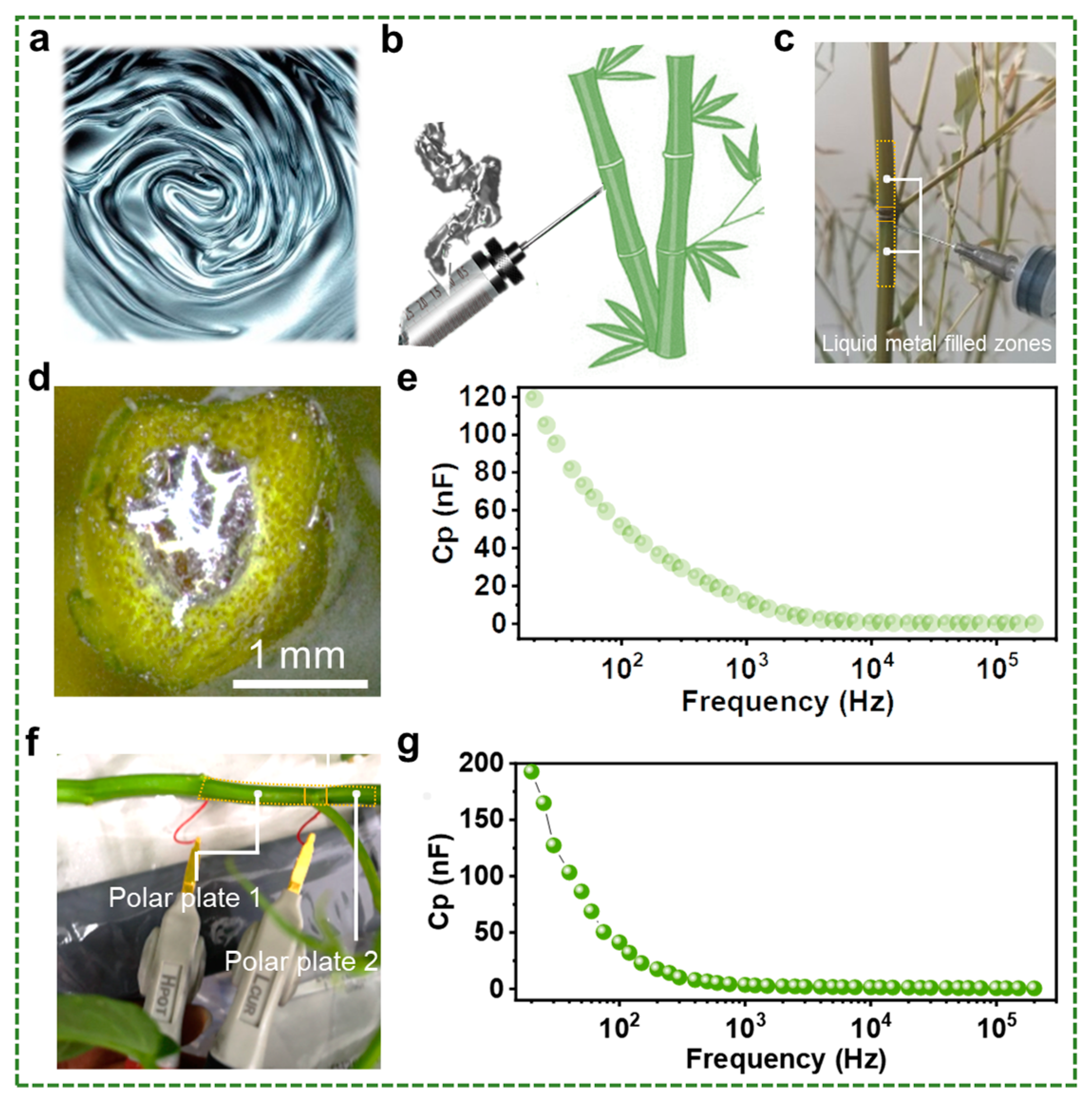 Biosensors 13 00603 g002