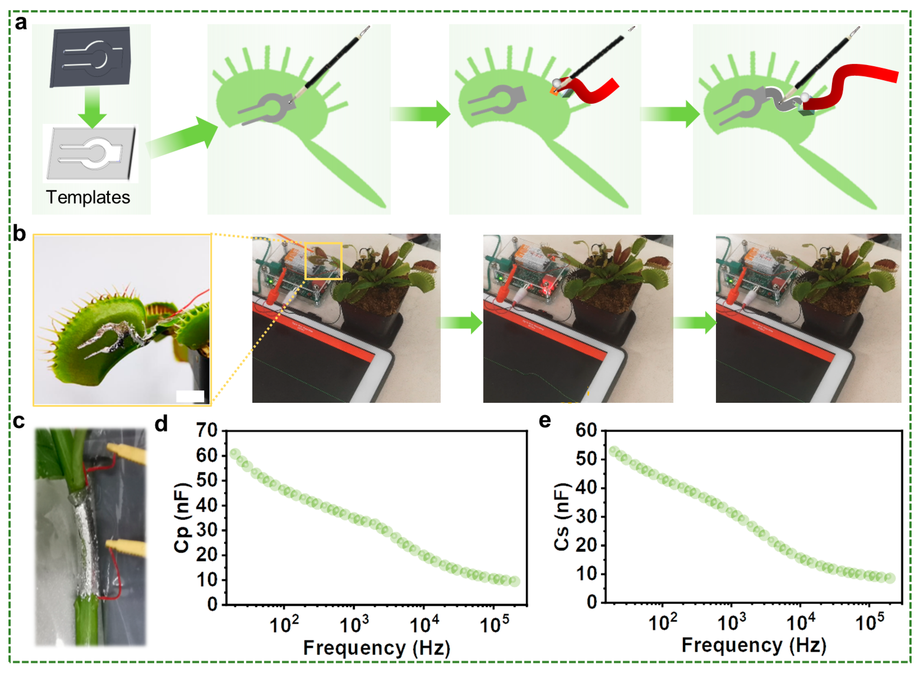 Biosensors 13 00603 g003