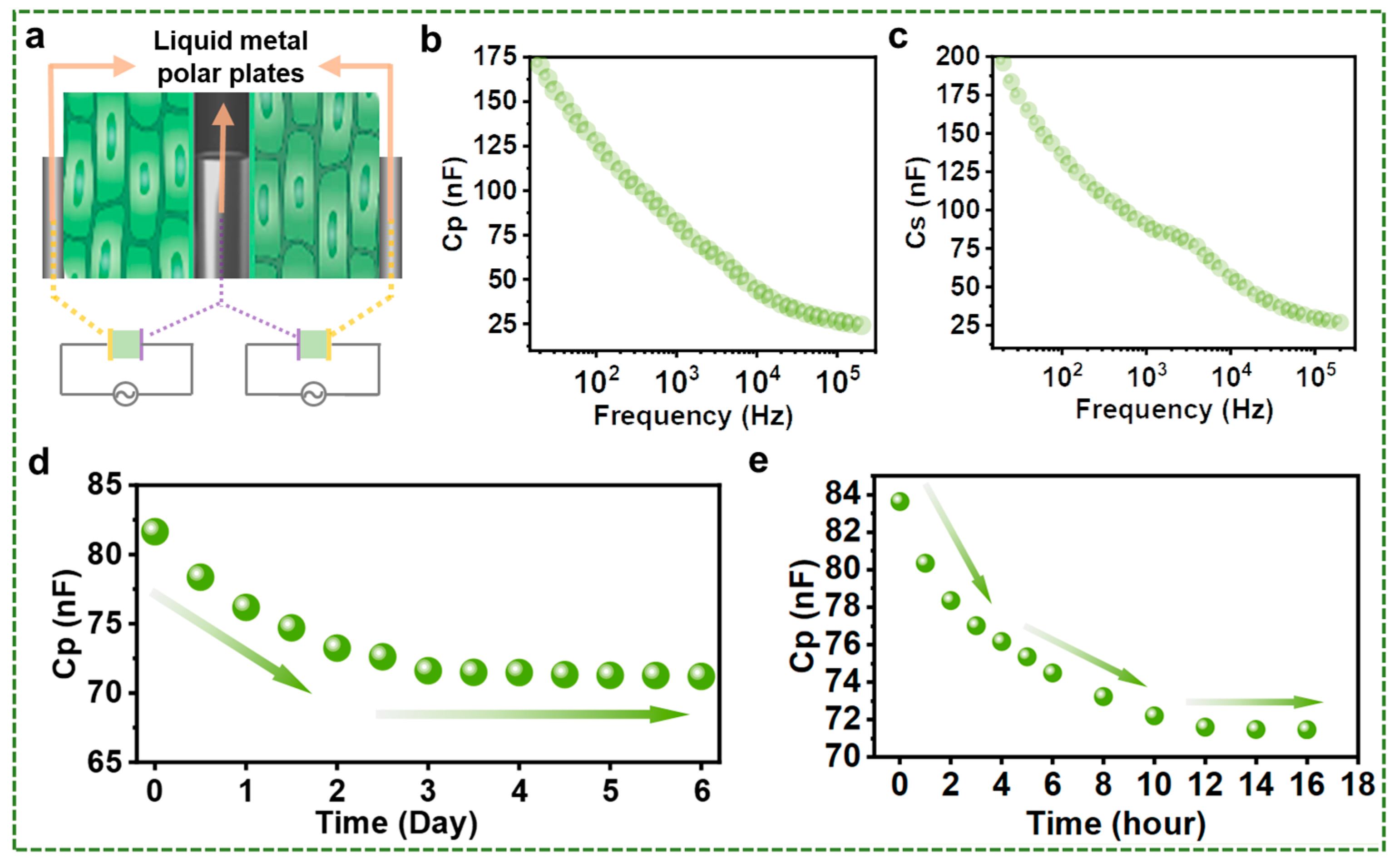Biosensors 13 00603 g004