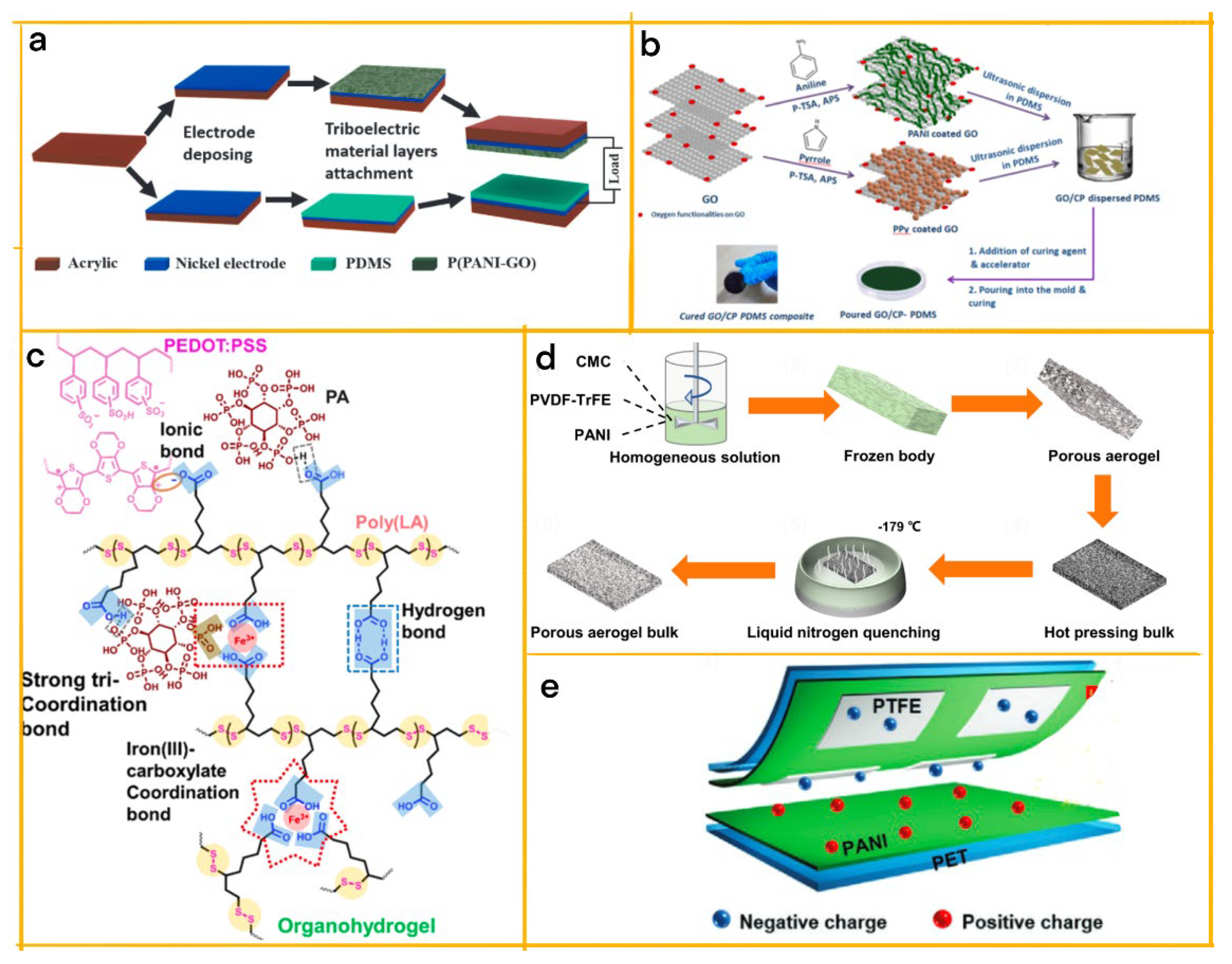 Biosensors 13 00604 g003