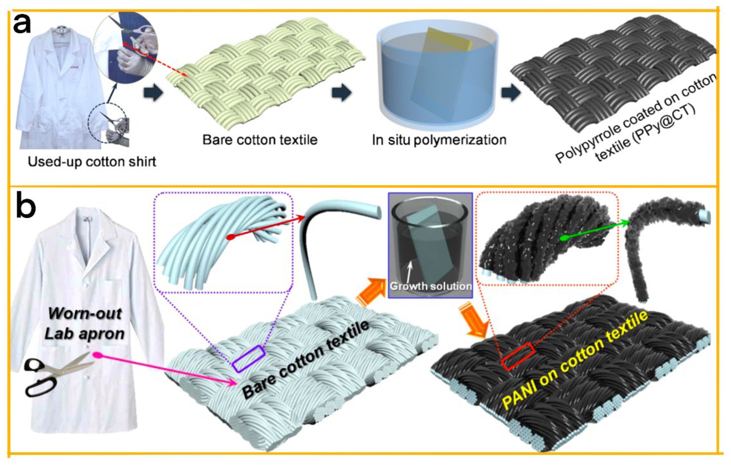 Biosensors 13 00604 g008
