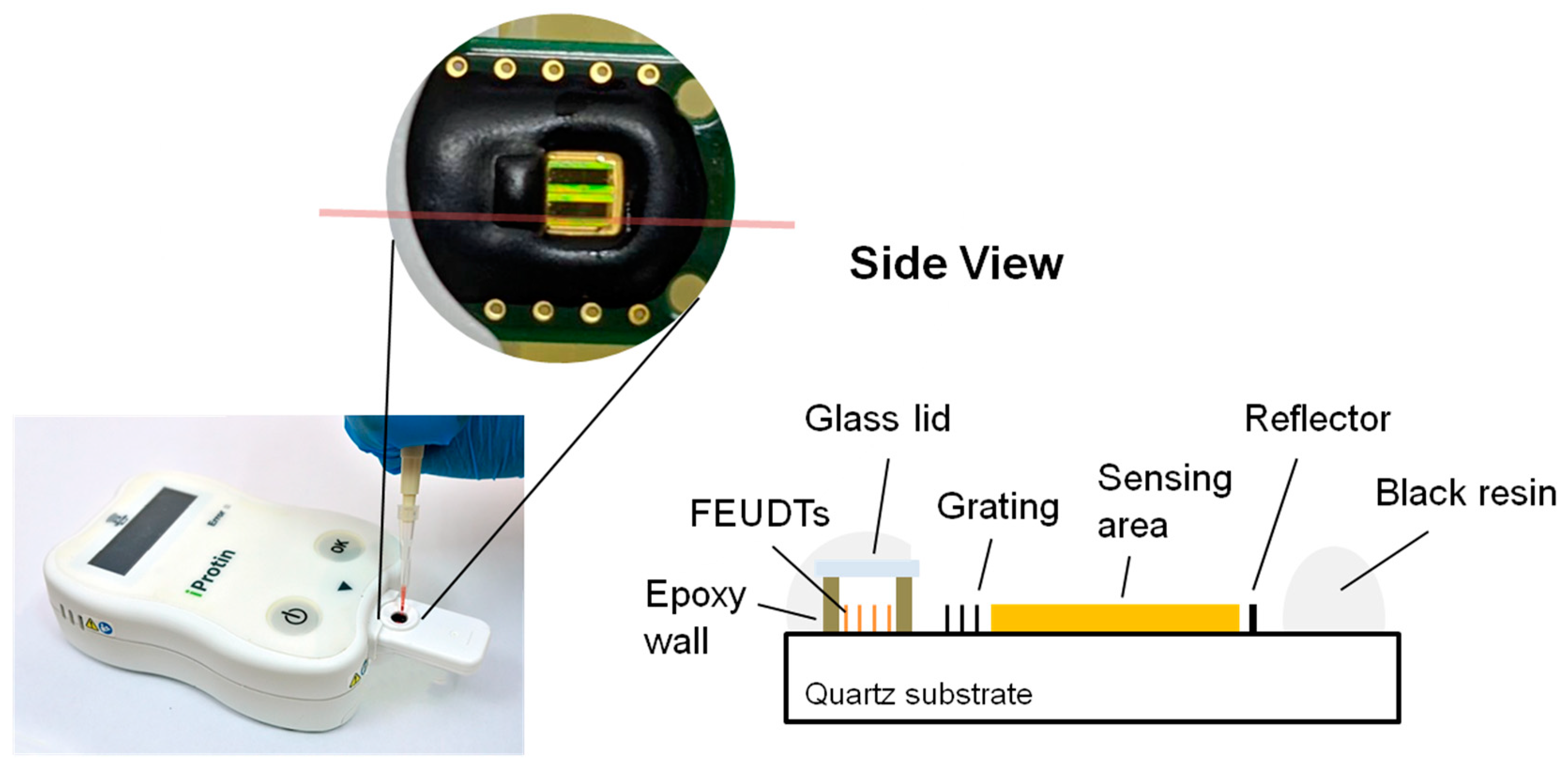 公式の店舗 Horizontal Shear of Application Surface (SH Wave Acoustic その他