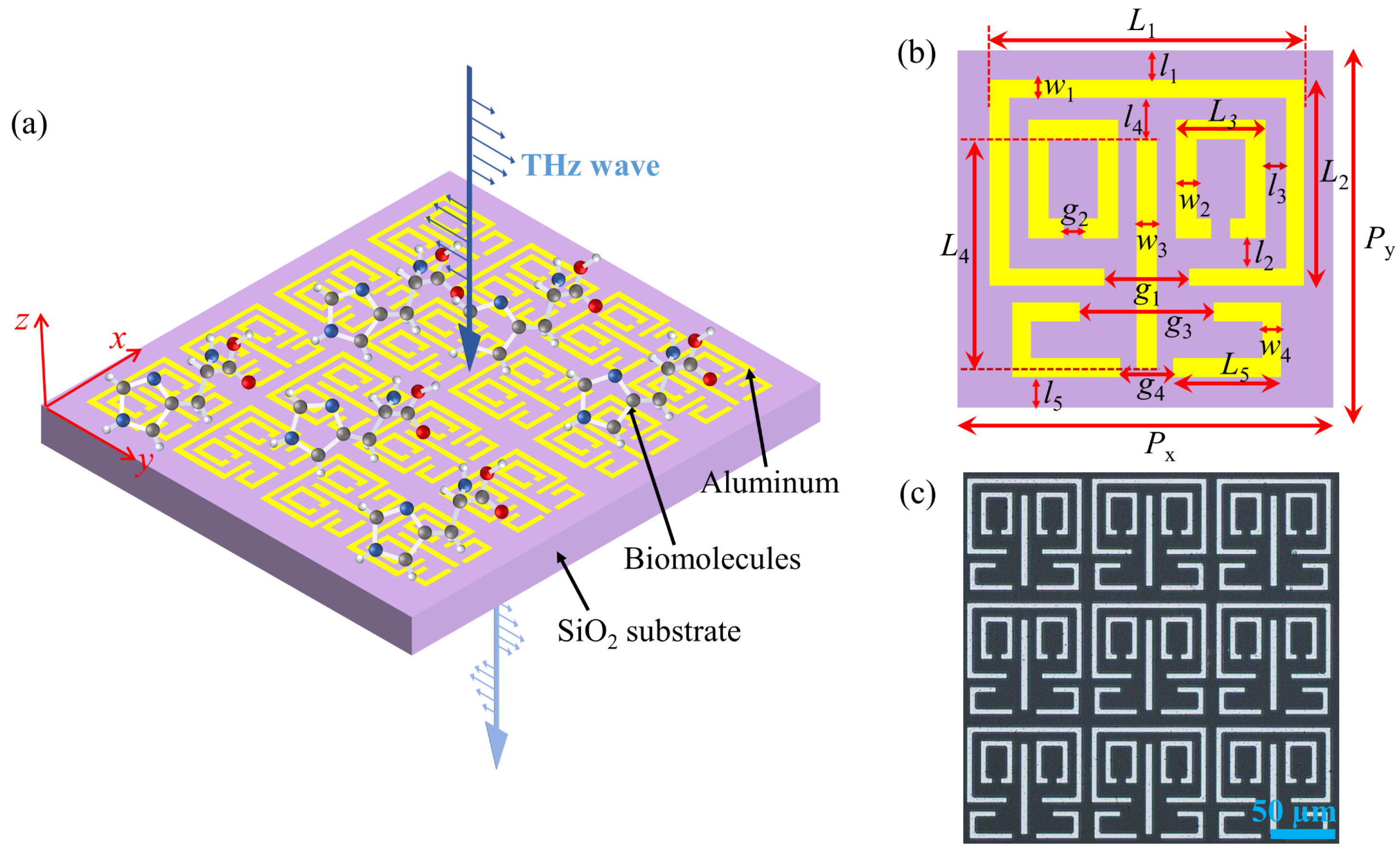 Biosensors 13 00606 g001