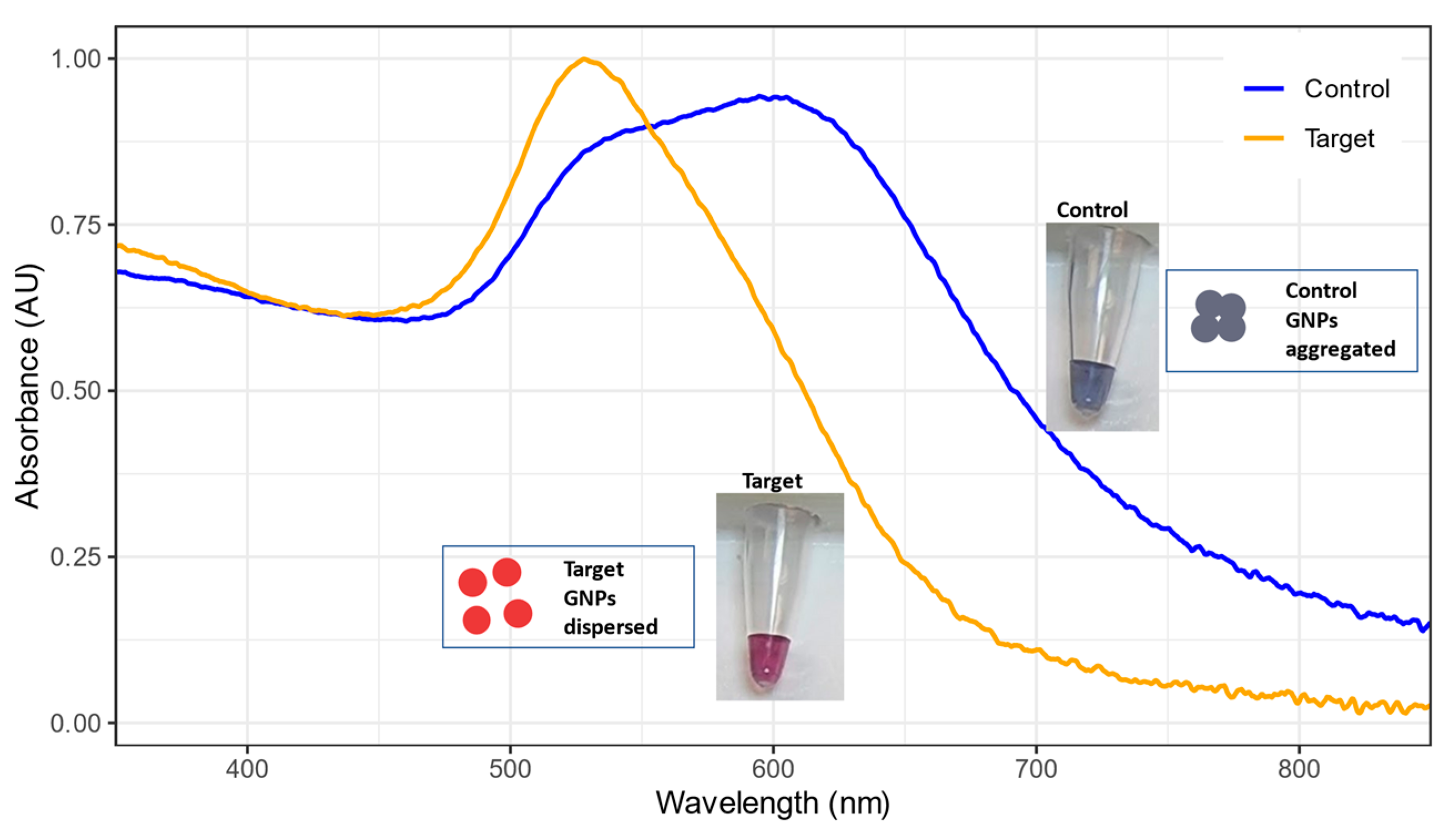 Biosensors 13 00608 g005
