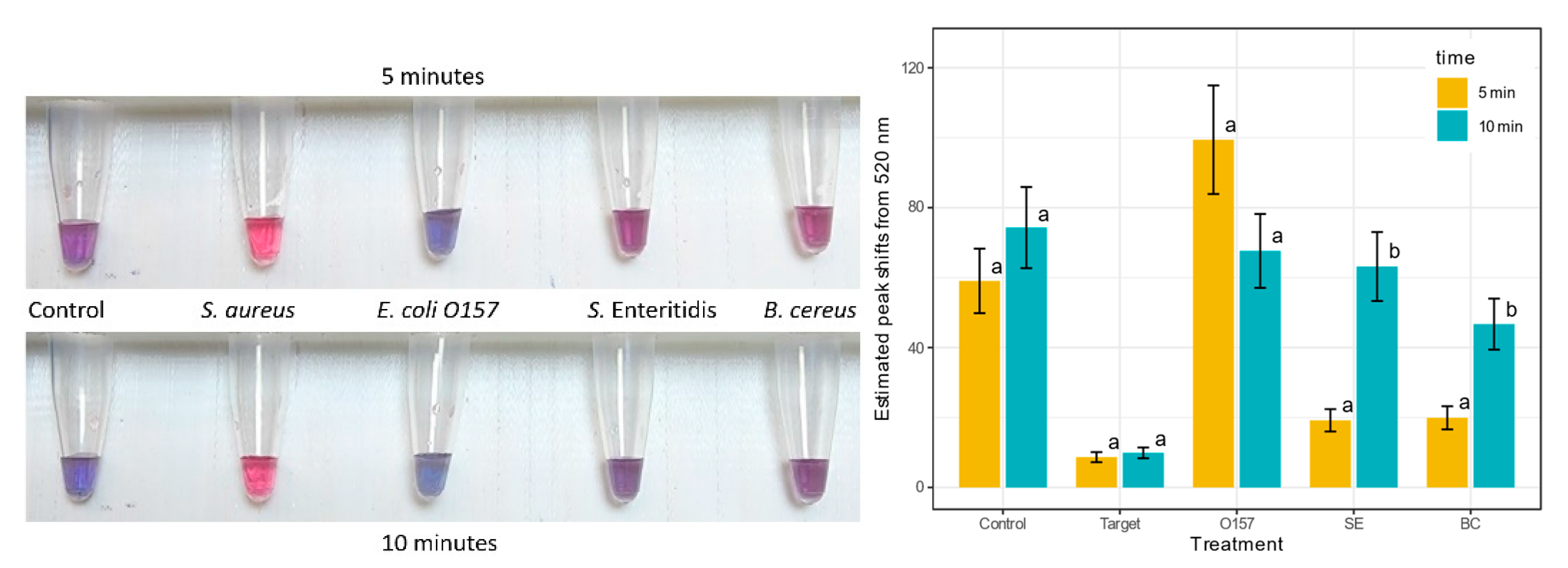 Biosensors 13 00608 g008