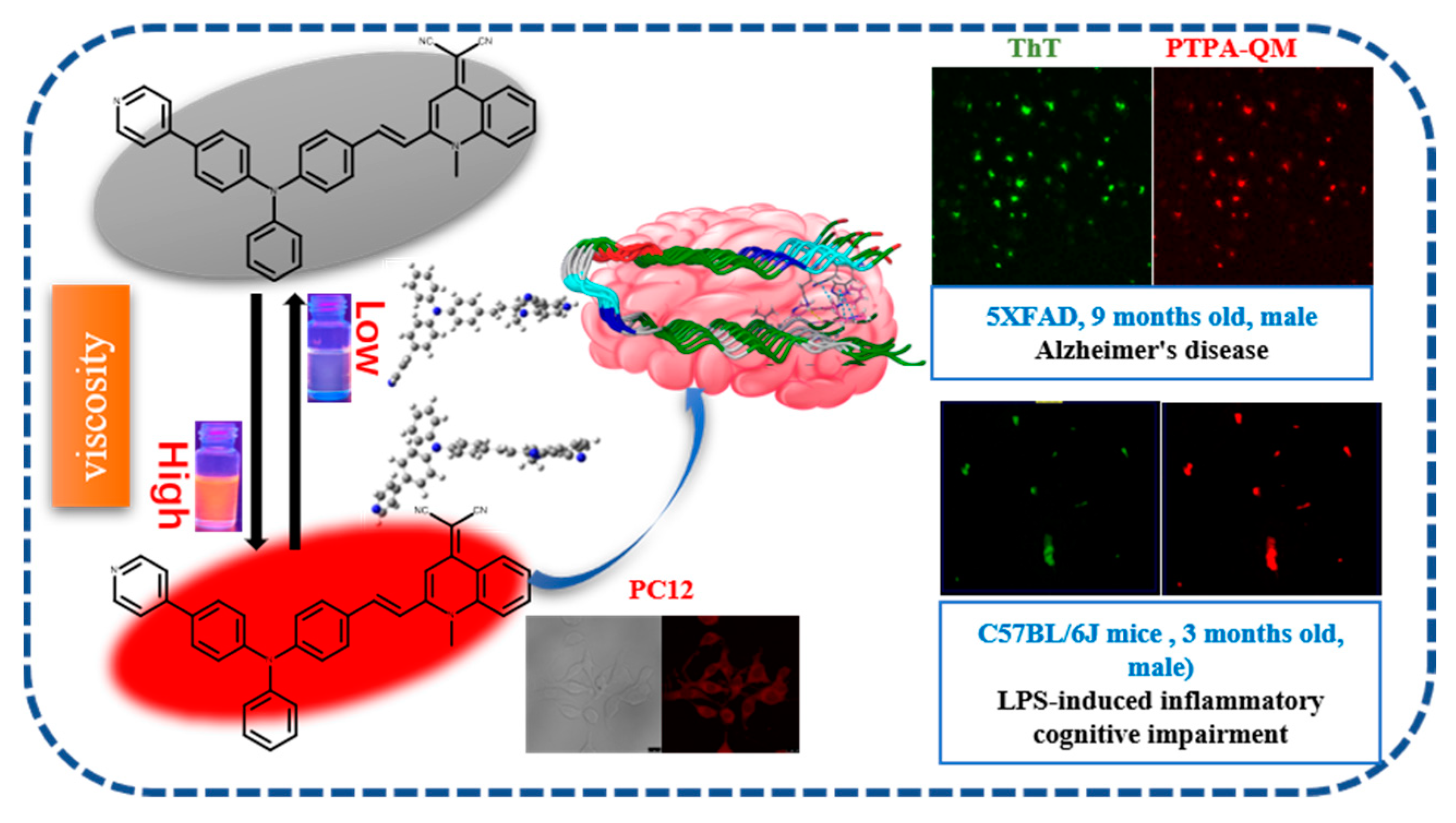 Biosensors 13 00610 g001