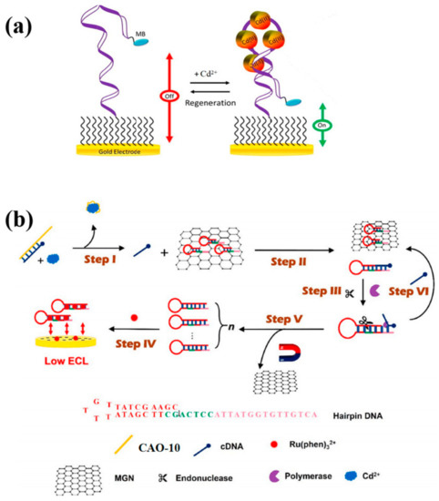 Recent Aptamer-Based Biosensors for Cd2+ Detection