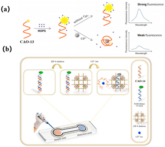 Recent Aptamer-Based Biosensors for Cd2+ Detection