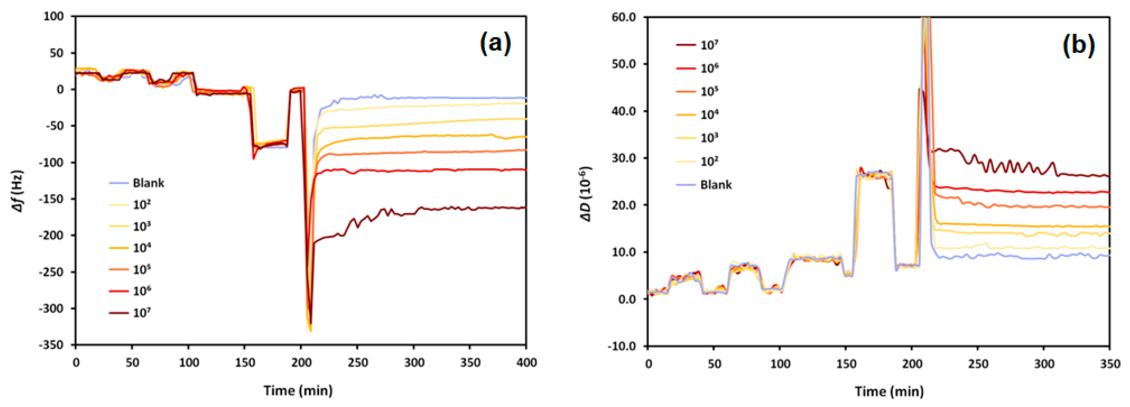 Biosensors 13 00614 g004