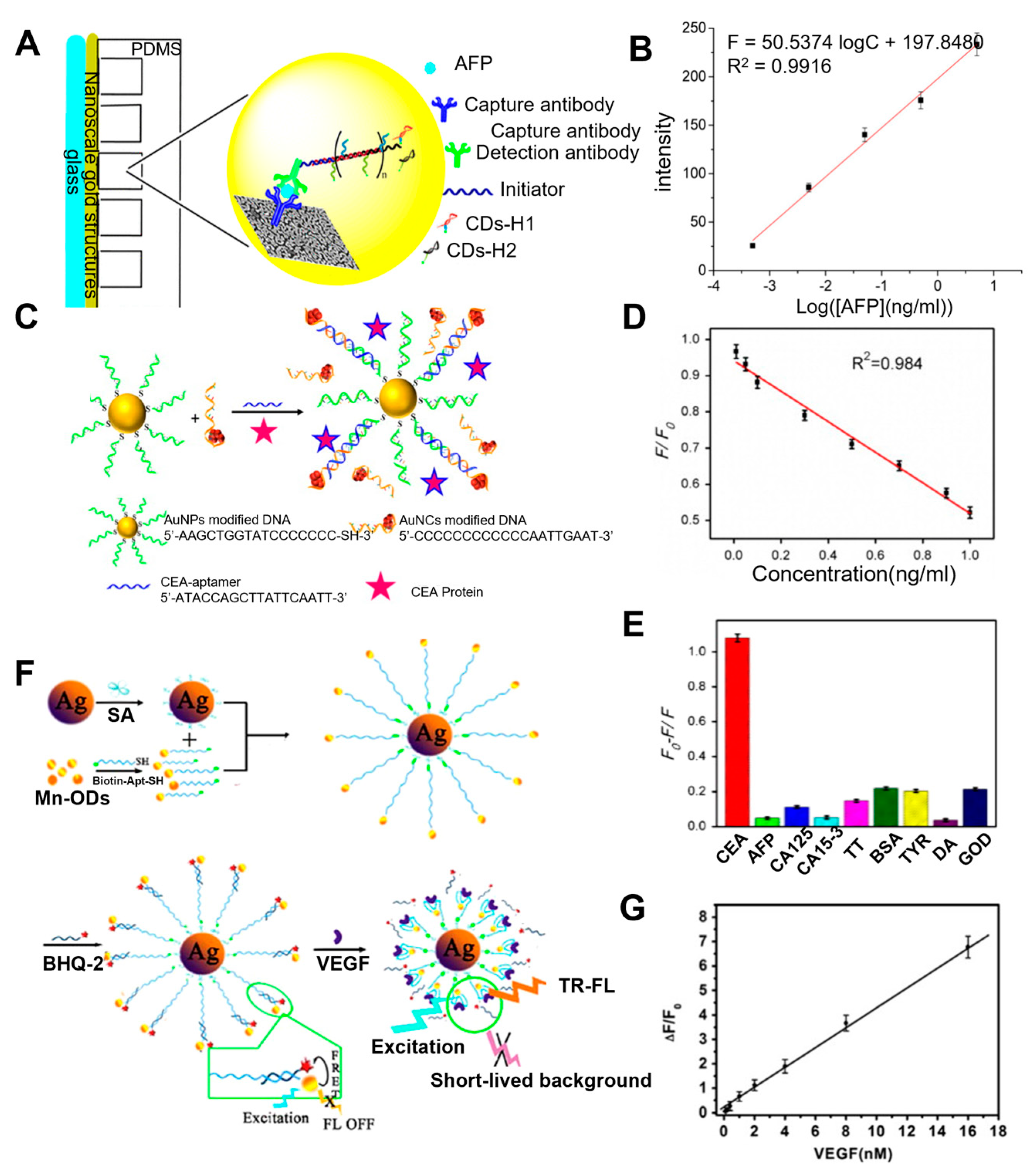 Biosensors 13 00617 g004