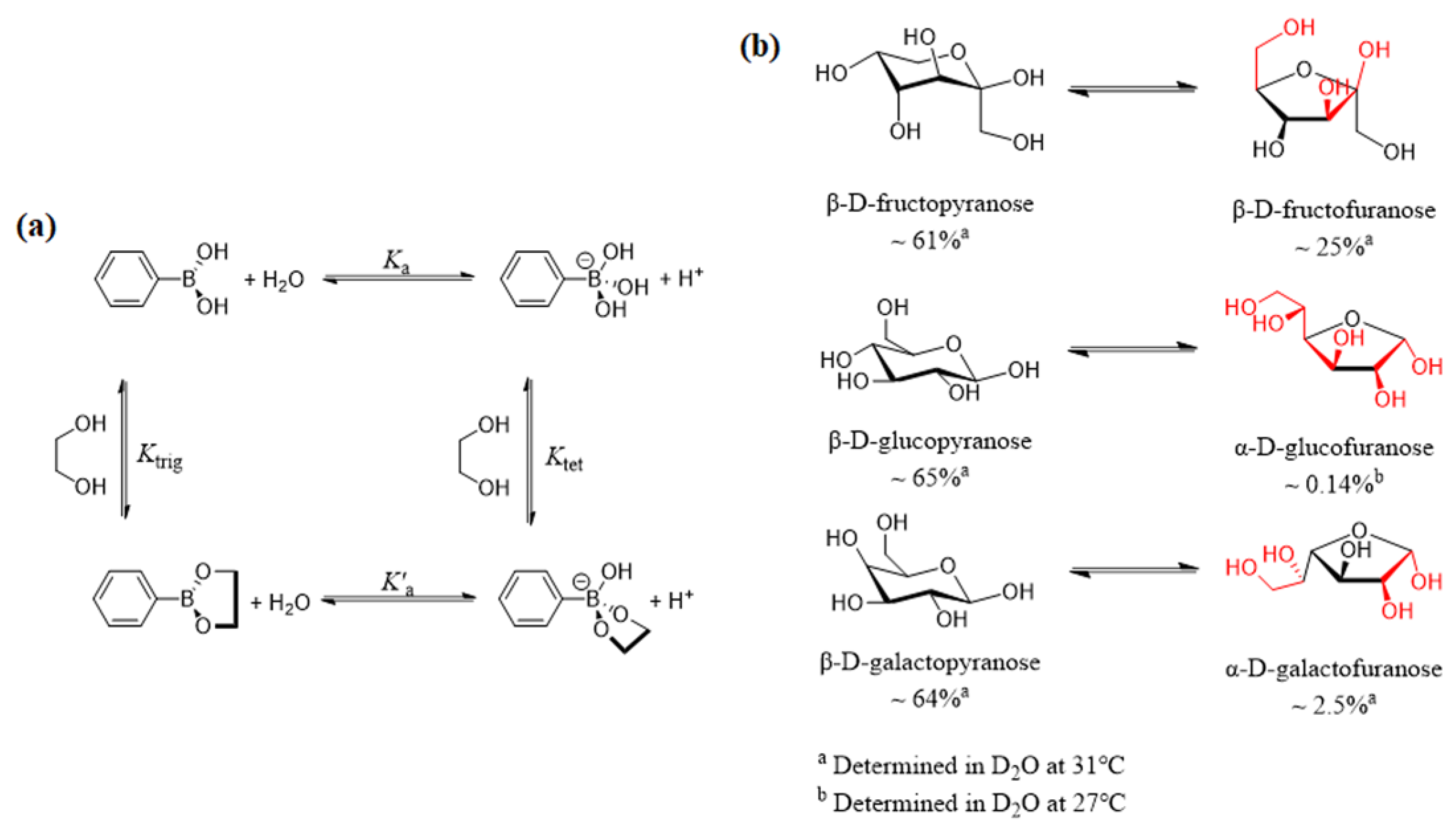Biosensors 13 00618 g002