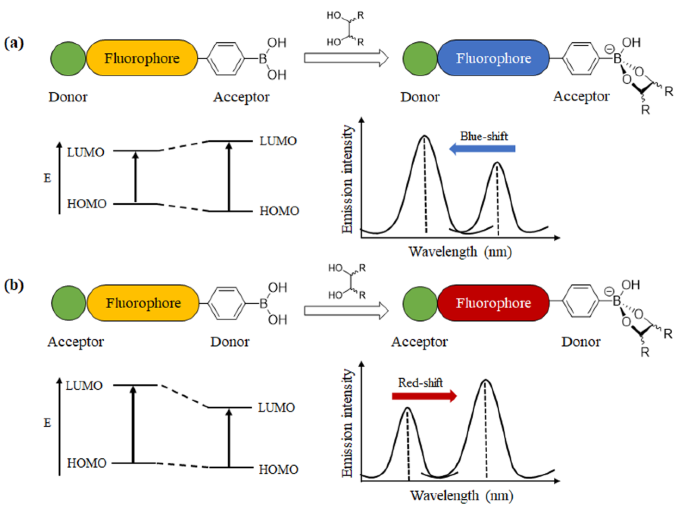 Biosensors 13 00618 g004