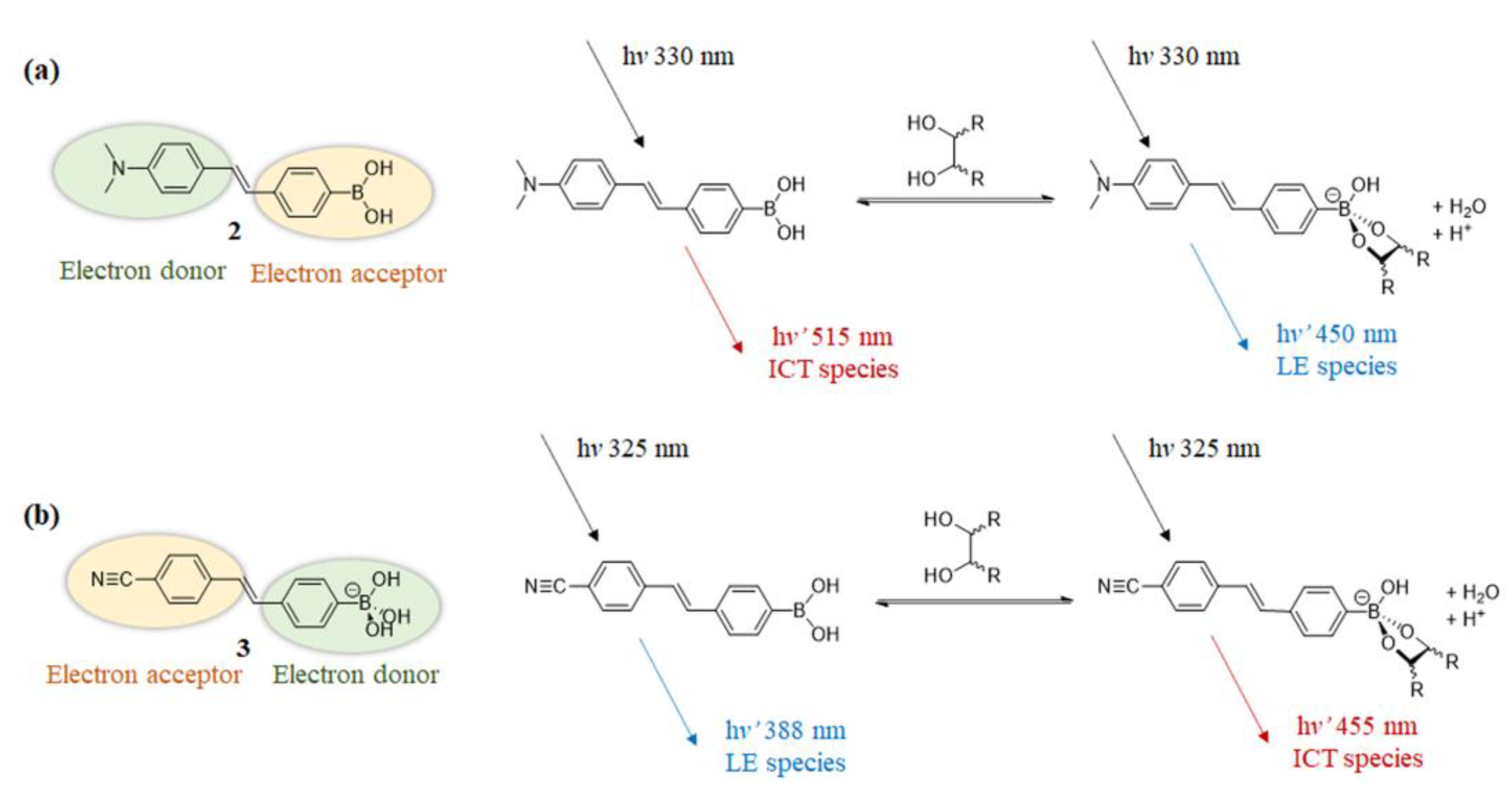 Biosensors 13 00618 g005