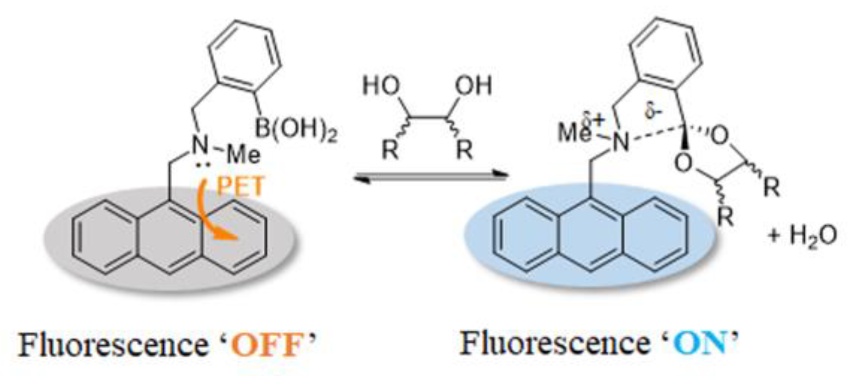 Biosensors 13 00618 g008