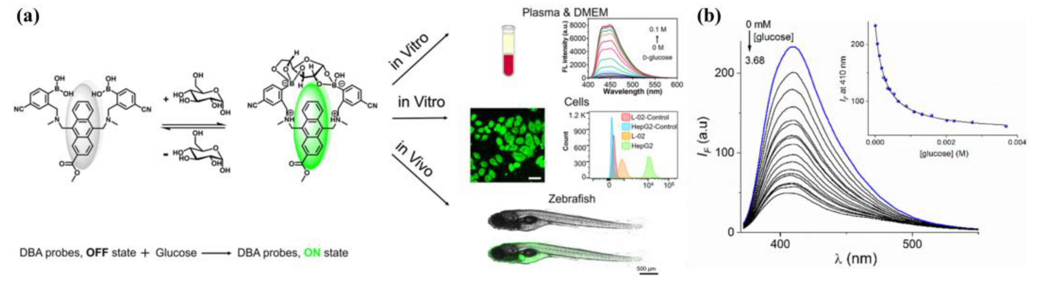 Biosensors 13 00618 g010