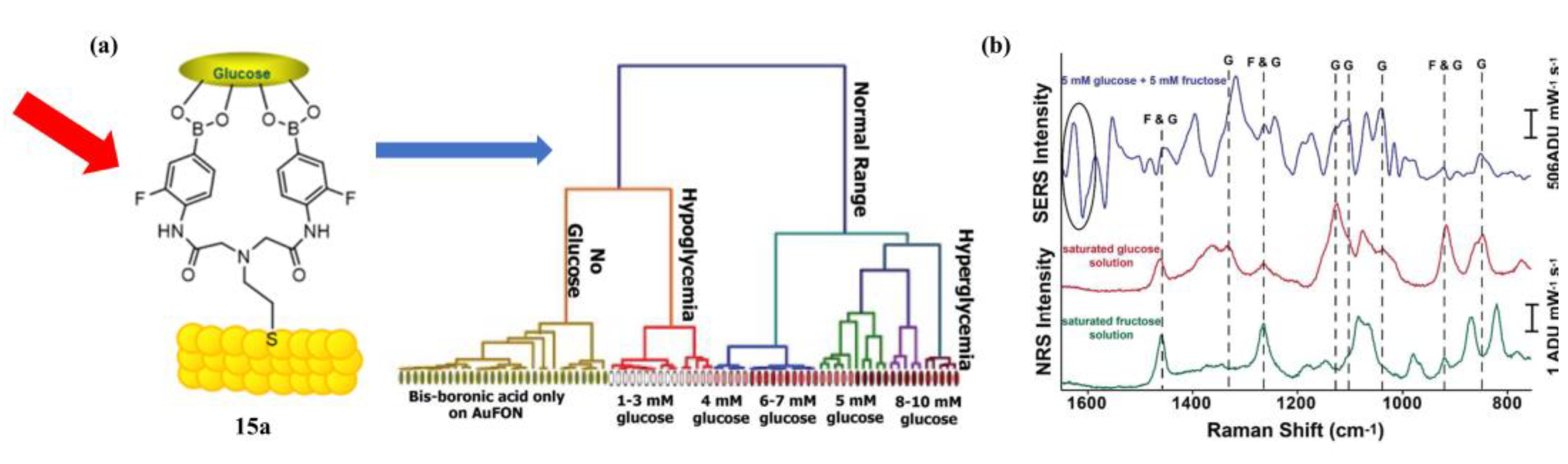 Biosensors 13 00618 g014
