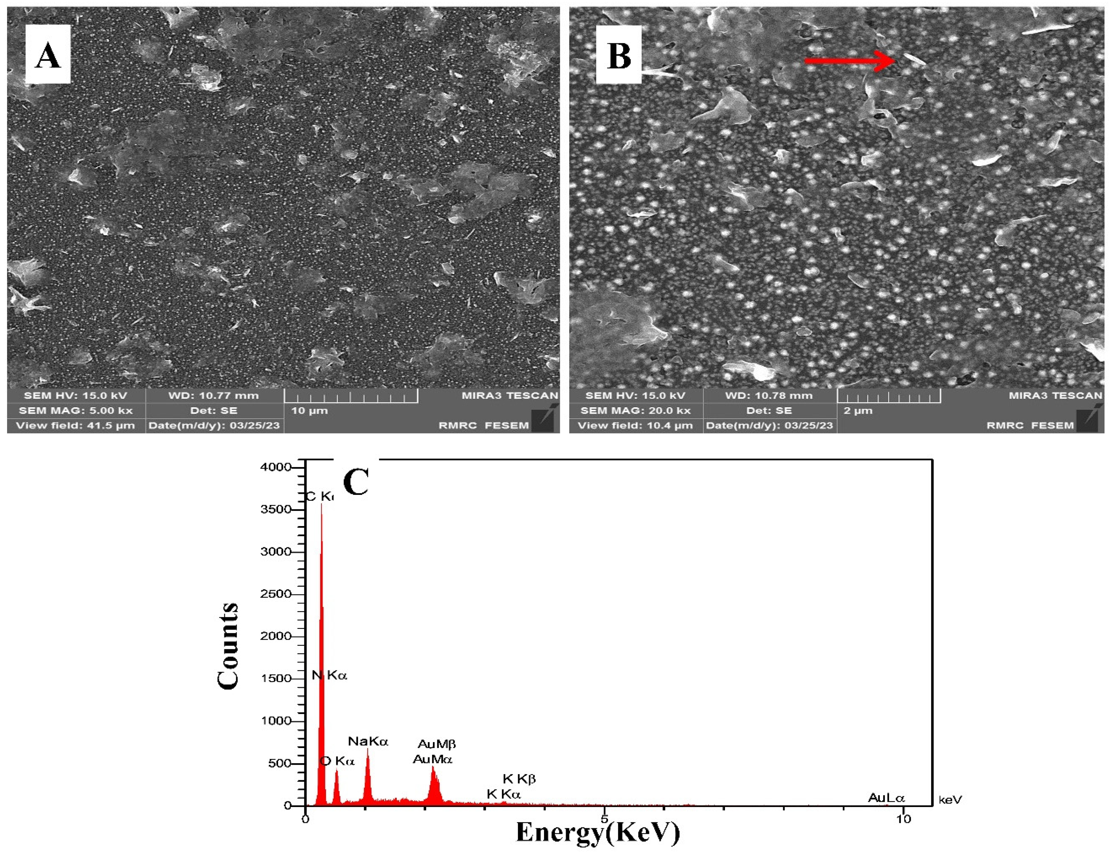 Biosensors 13 00619 g001 Biosensors 13 00619 g001