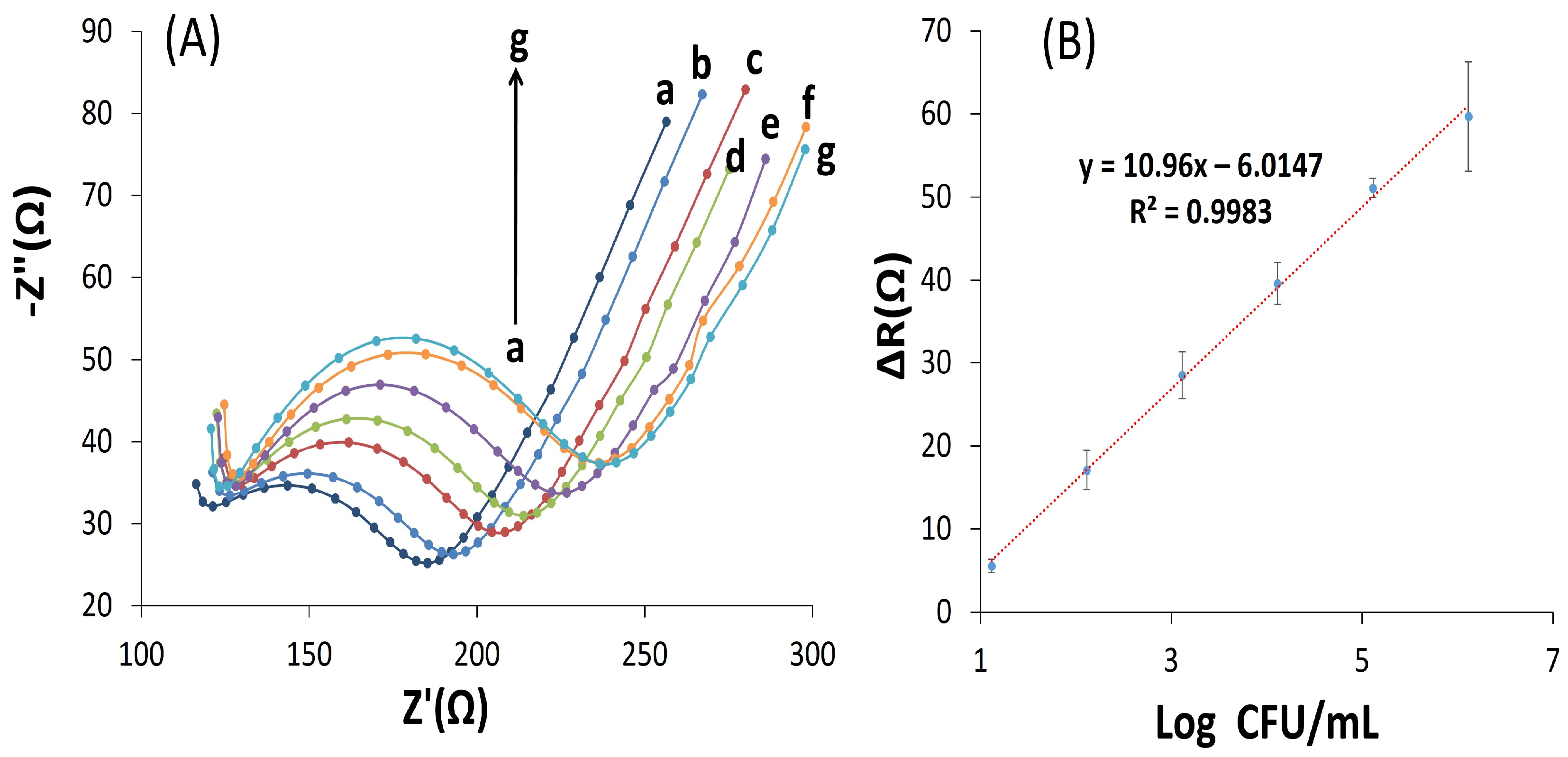 Biosensors 13 00619 g005 Biosensors 13 00619 g005