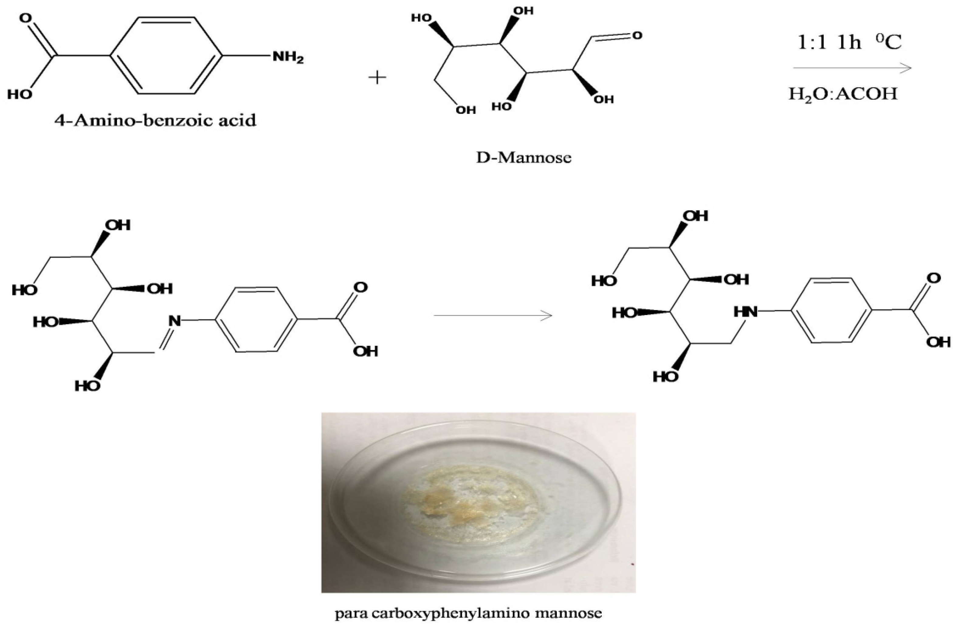 Biosensors 13 00619 sch002 Biosensors 13 00619 sch002