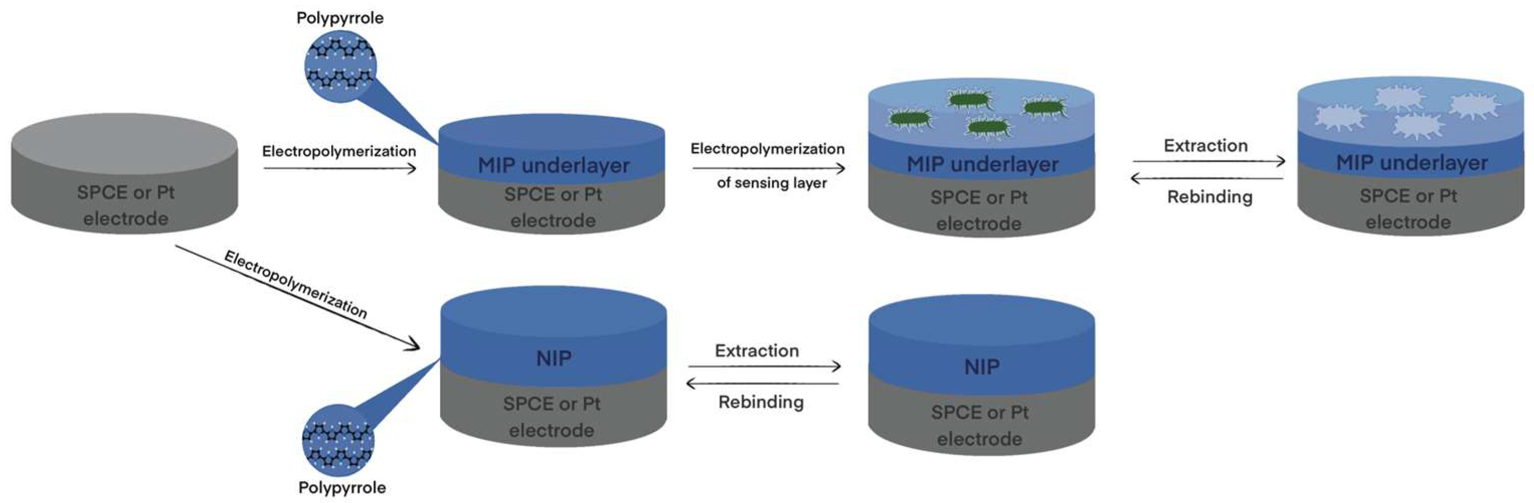 Biosensors 13 00620 g009 Biosensors 13 00620 g009
