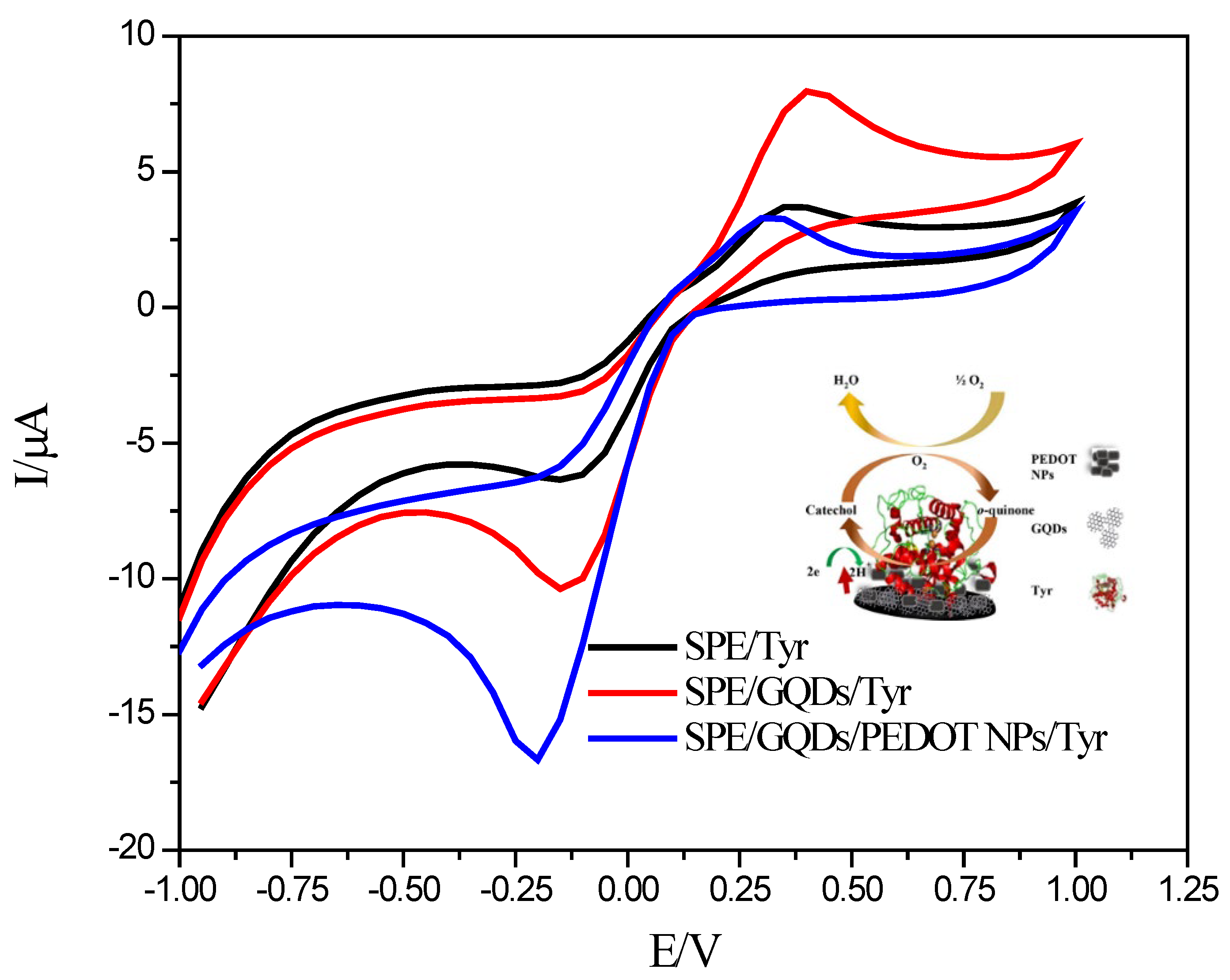 Biosensors 13 00622 g006