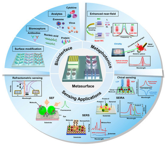 Recent Advances in Metaphotonic Biosensors
