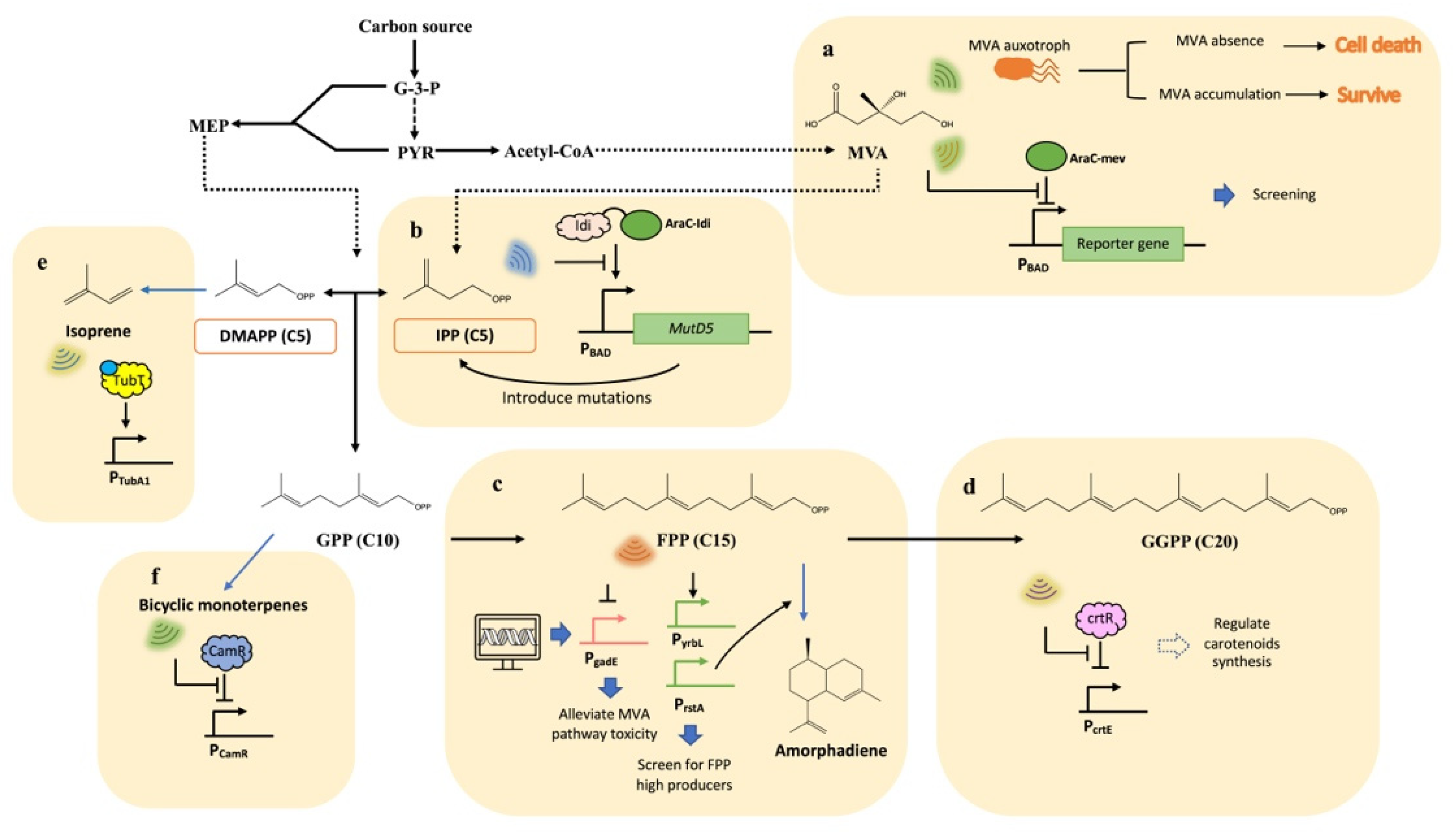 Biosensors 13 00633 g002 Biosensors 13 00633 g002