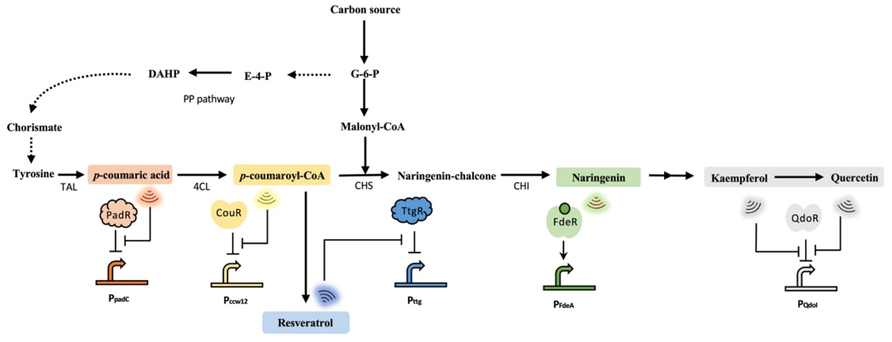 Biosensors 13 00633 g003 Biosensors 13 00633 g003