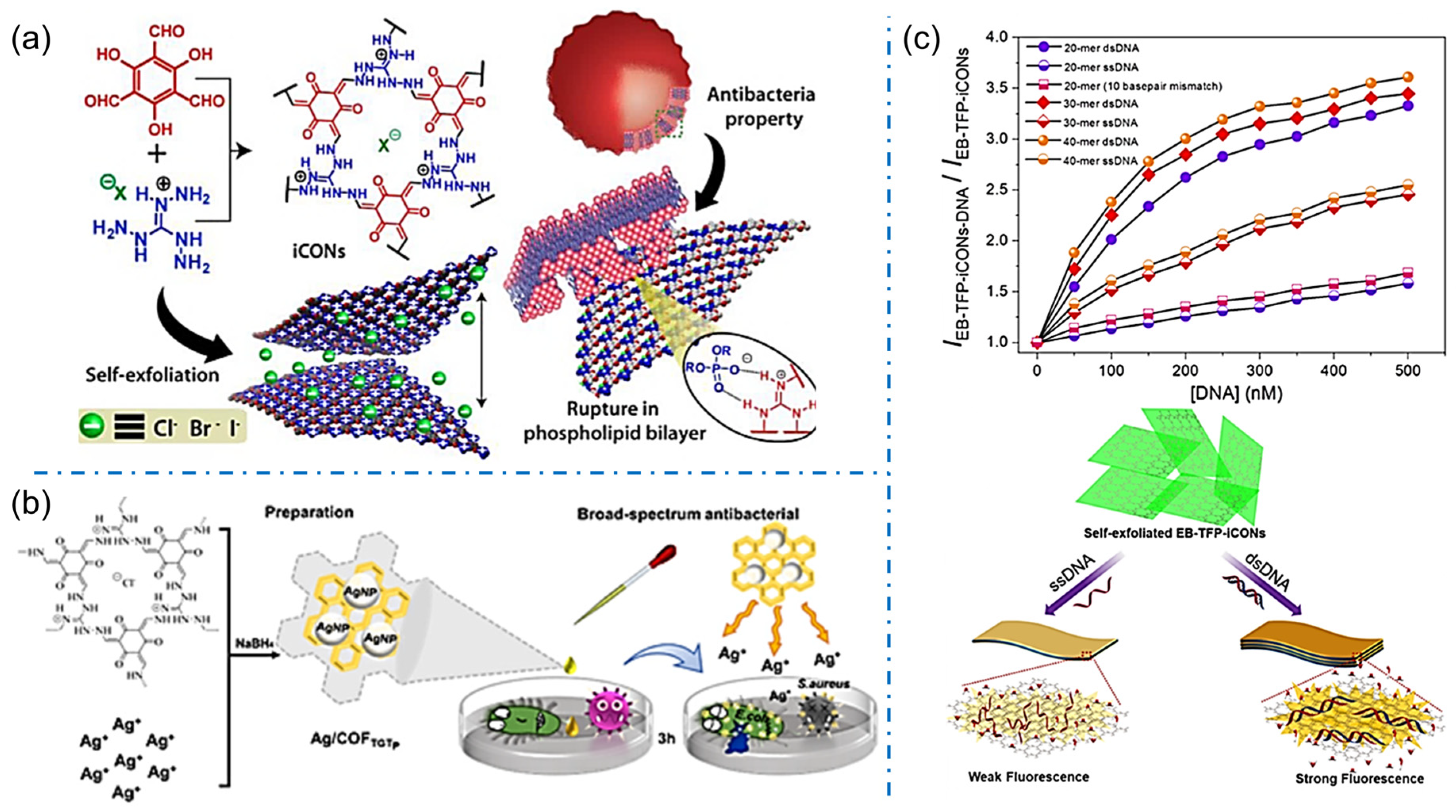 Biosensors 13 00636 g010