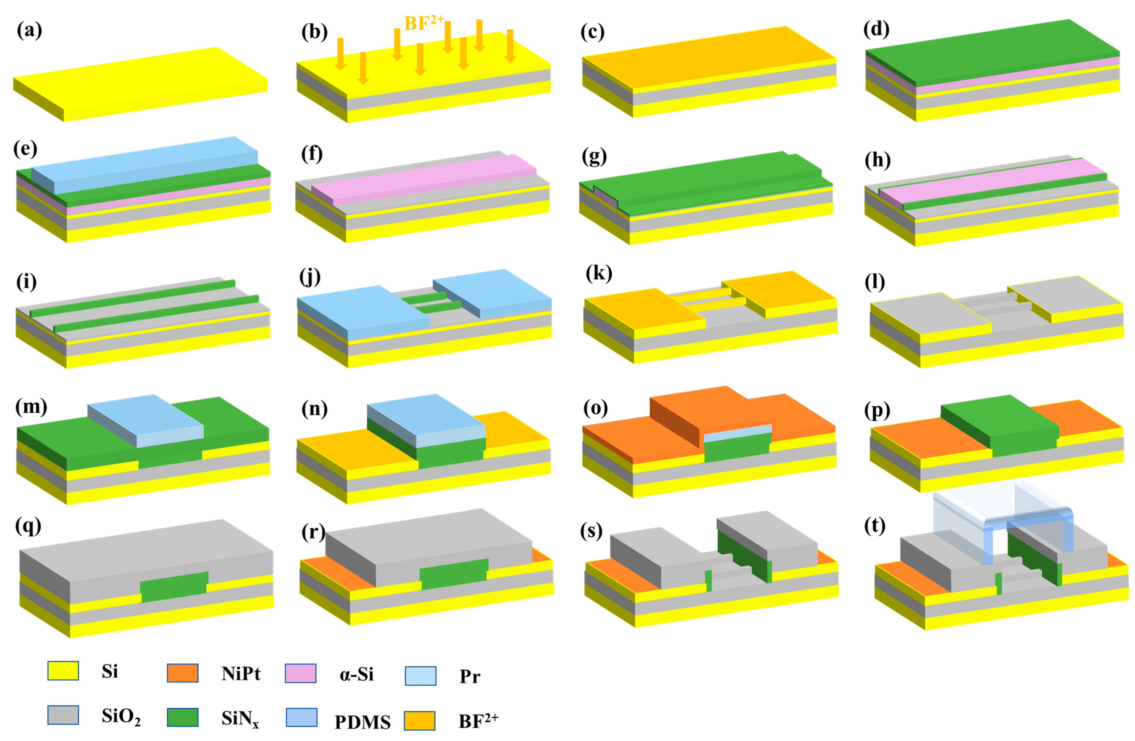 Biosensors 13 00645 g001