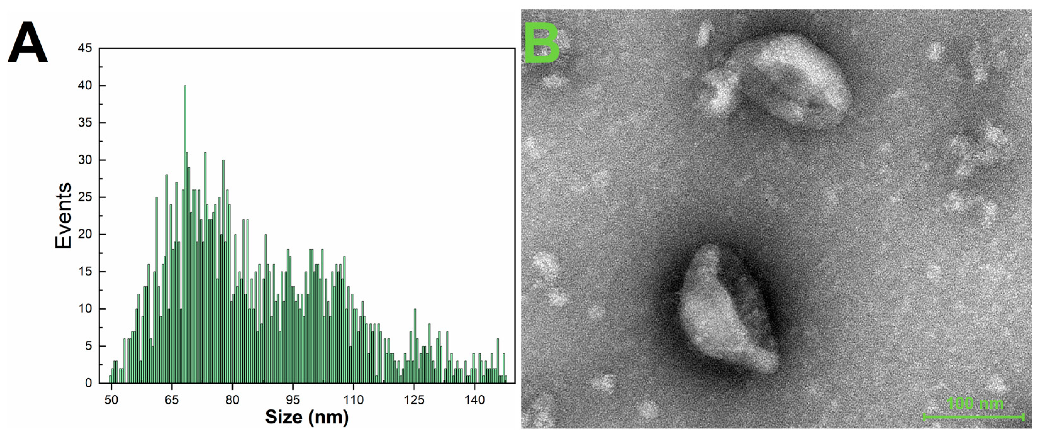 Biosensors 13 00647 g001 Biosensors 13 00647 g001