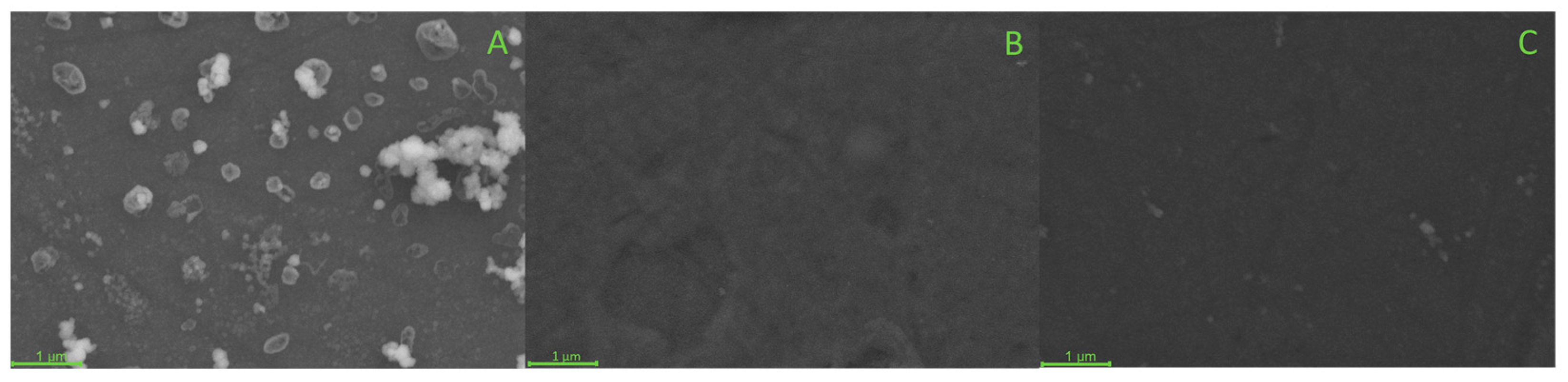 Biosensors 13 00647 g002 Biosensors 13 00647 g002