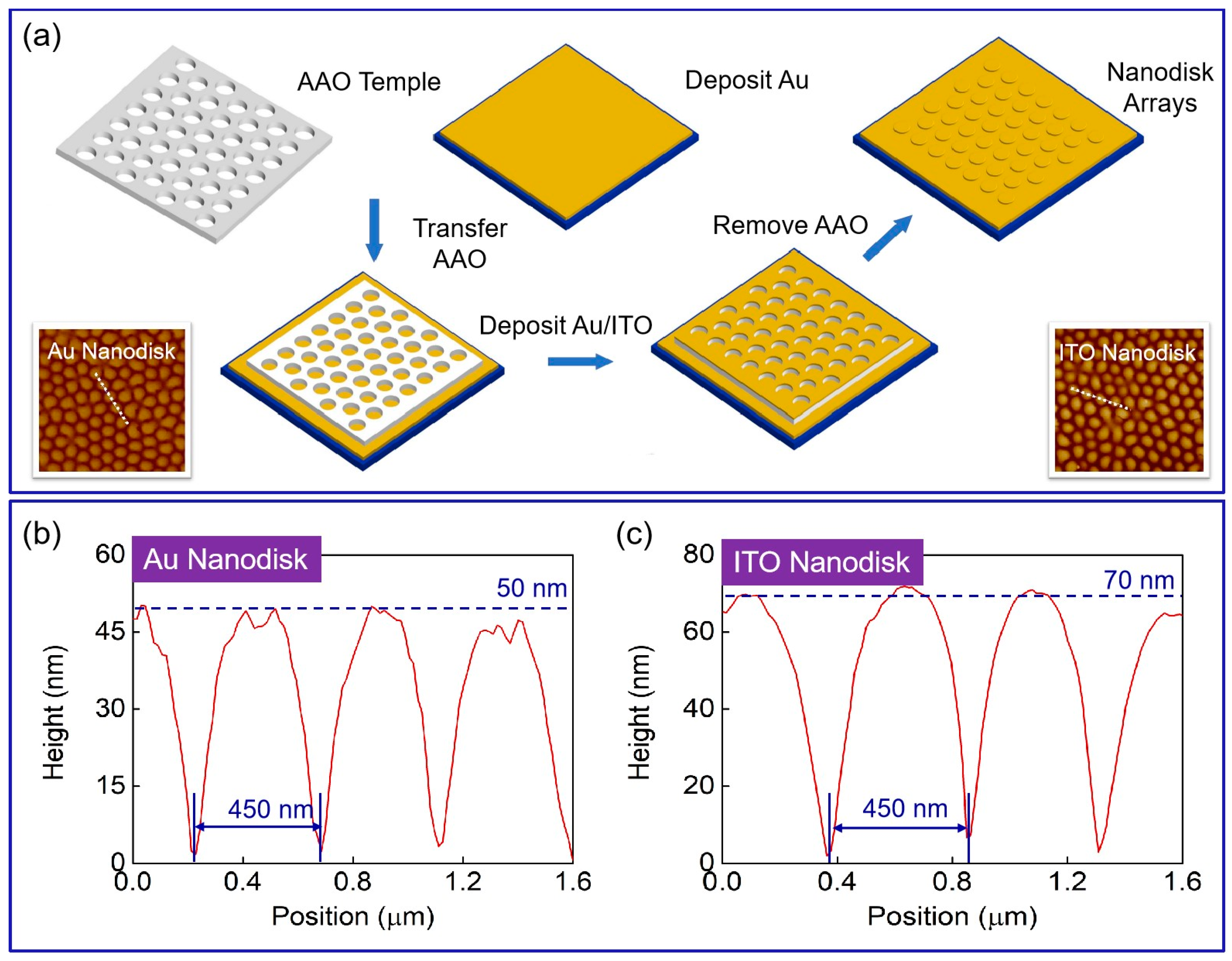 Biosensors 13 00649 g006