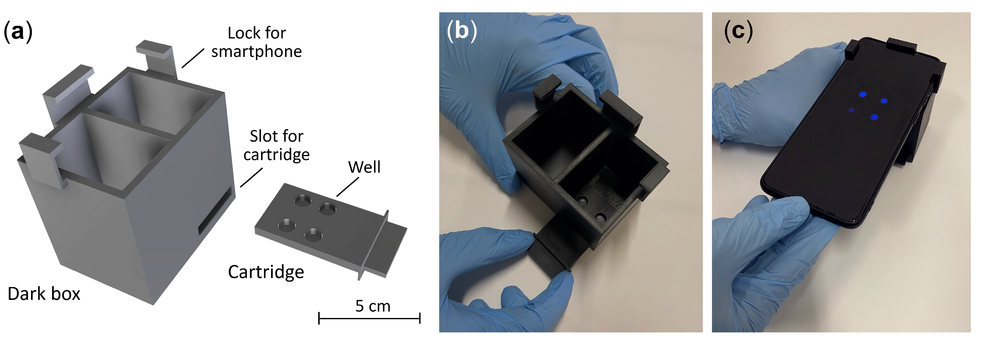Biosensors 13 00650 g005