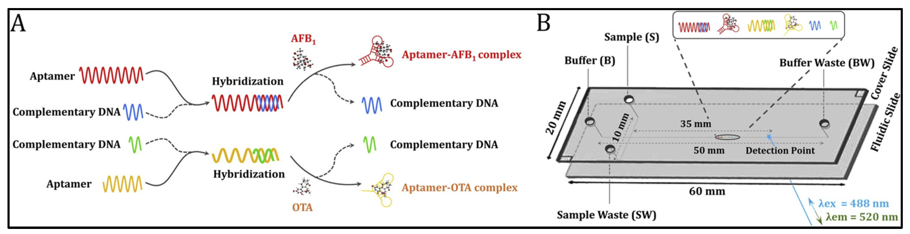 Biosensors 13 00653 g001 Biosensors 13 00653 g001