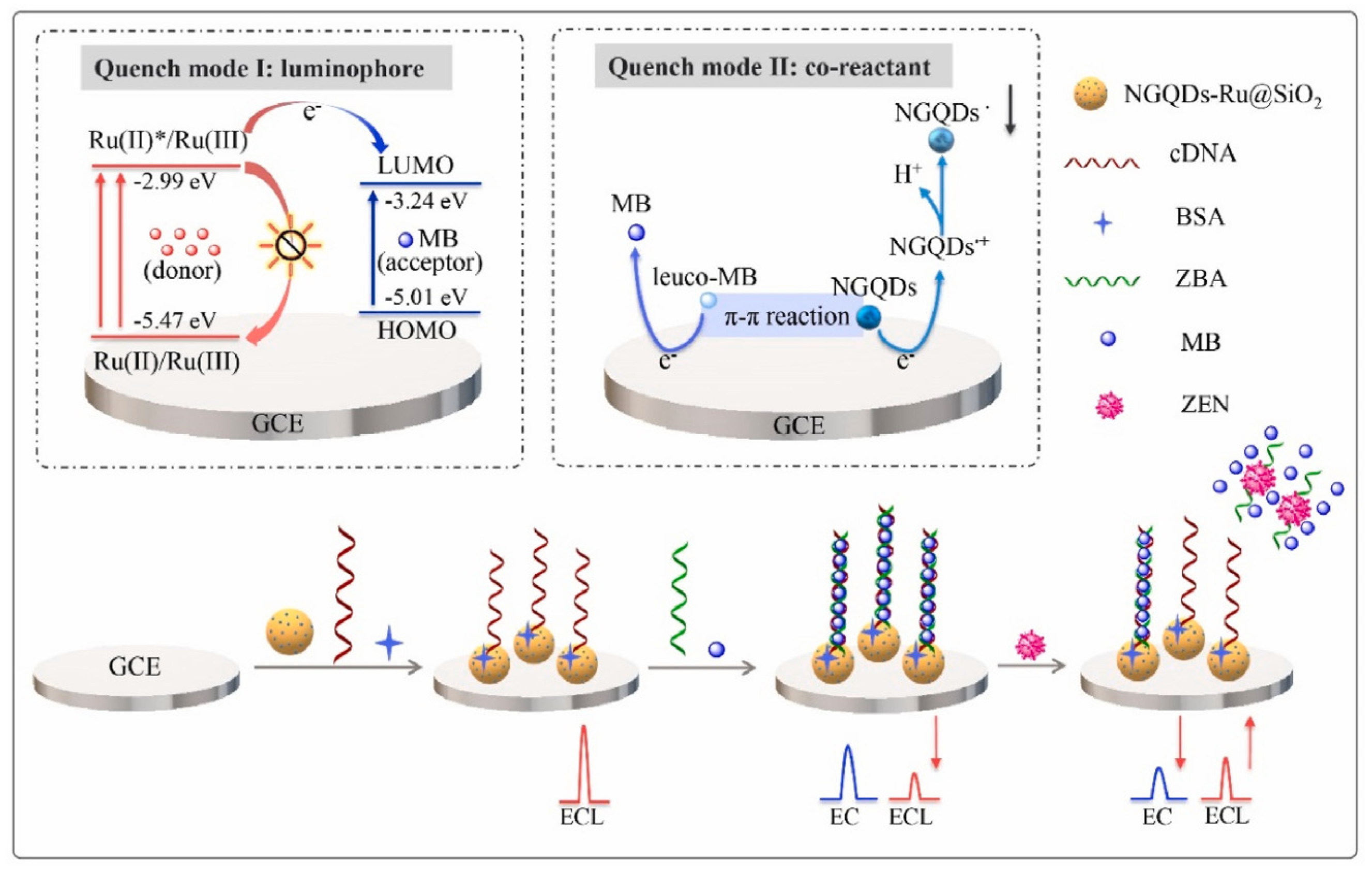 Biosensors Free FullText Recent Advances in