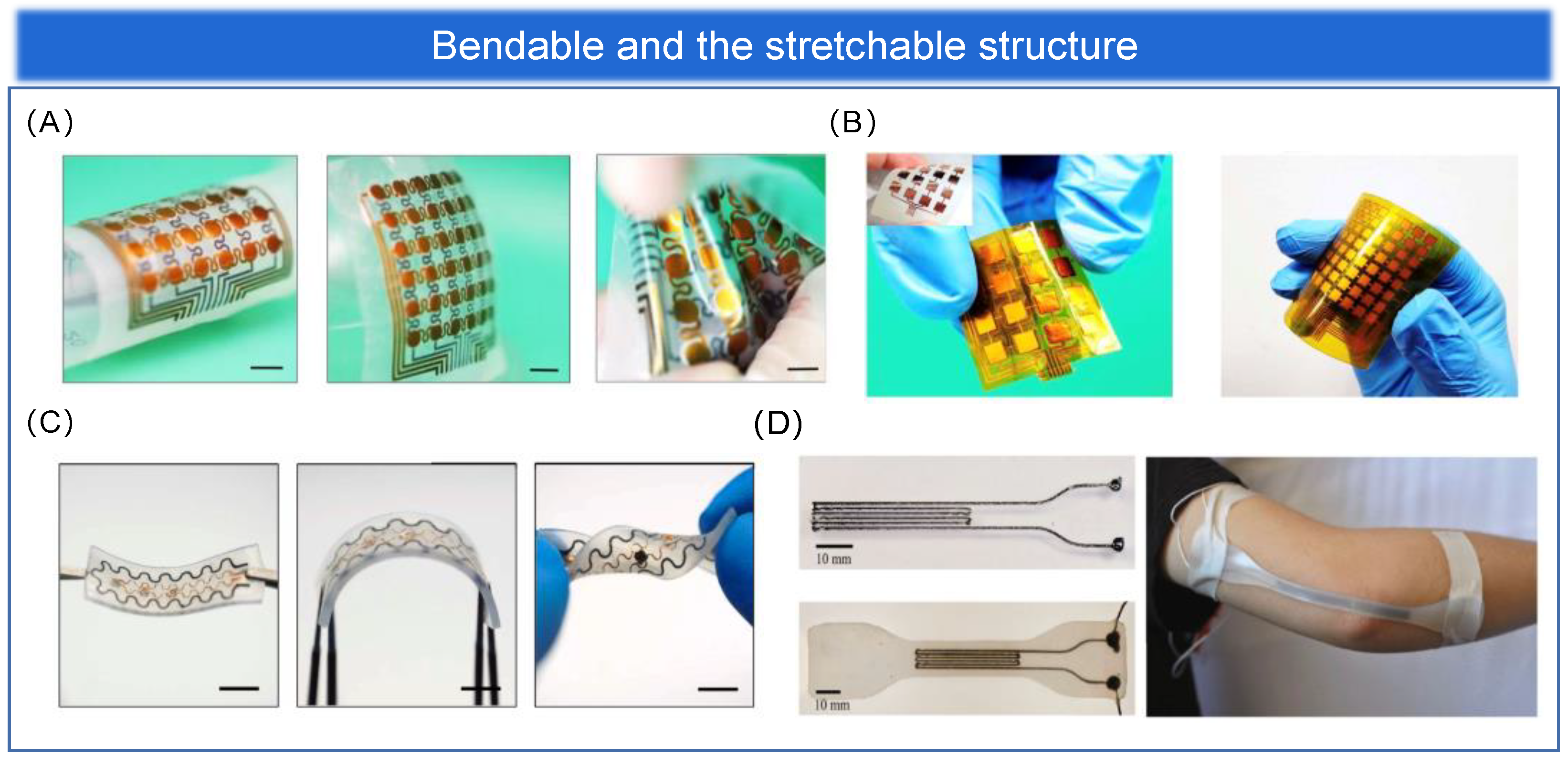 Biosensors 13 00656 g005 Biosensors 13 00656 g005