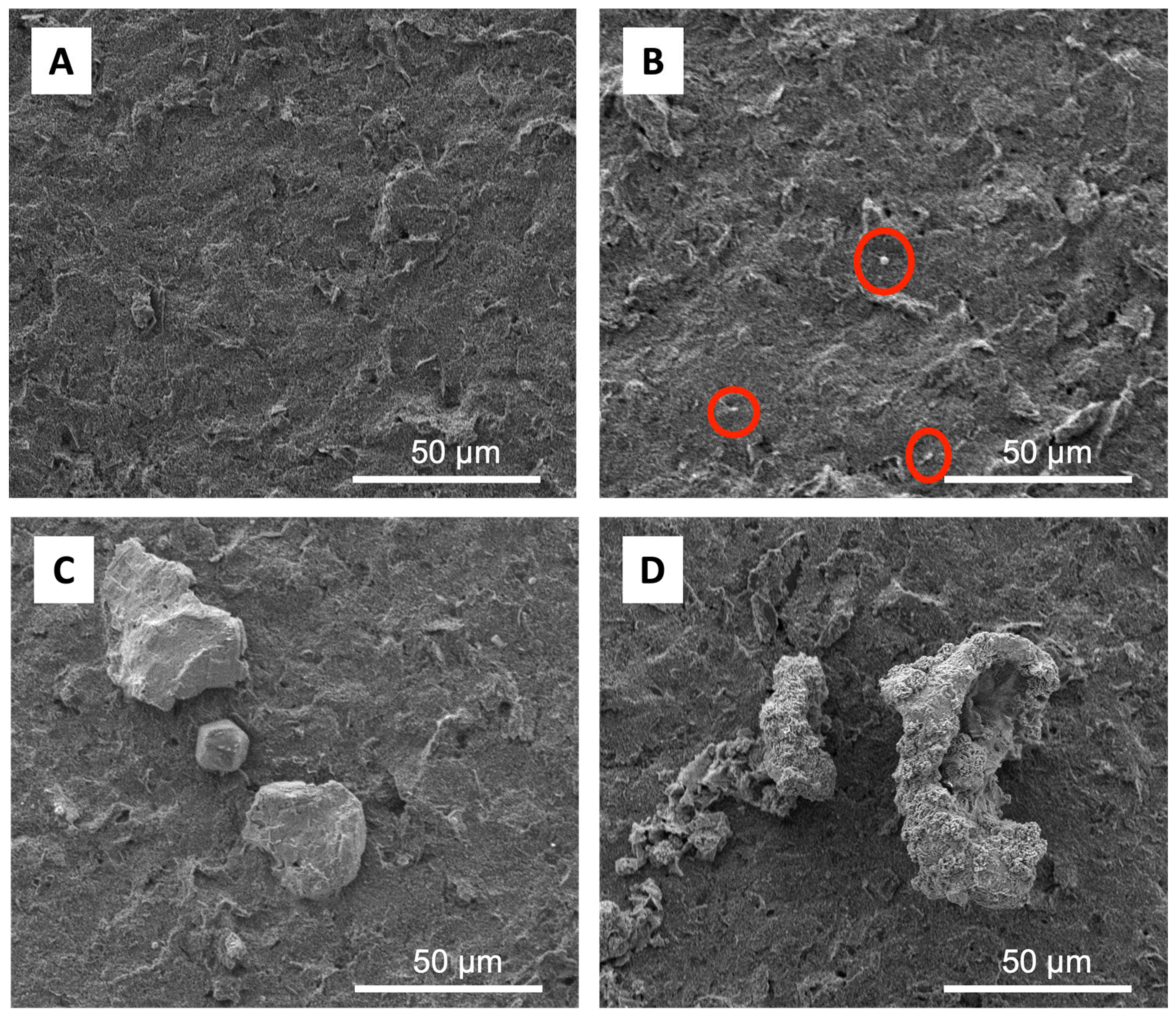 Biosensors 13 00657 g002 Biosensors 13 00657 g002