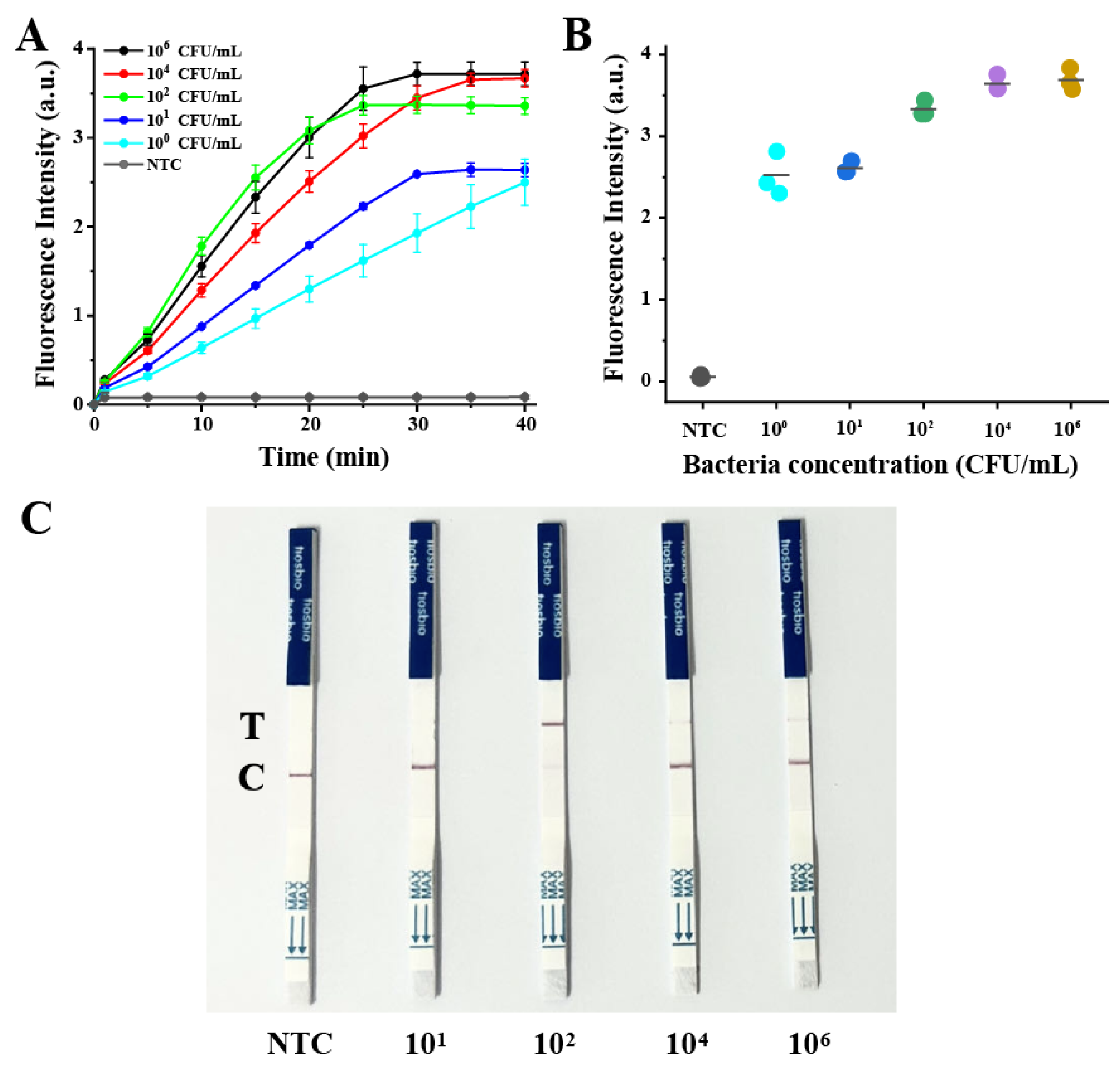 Biosensors 13 00659 g003