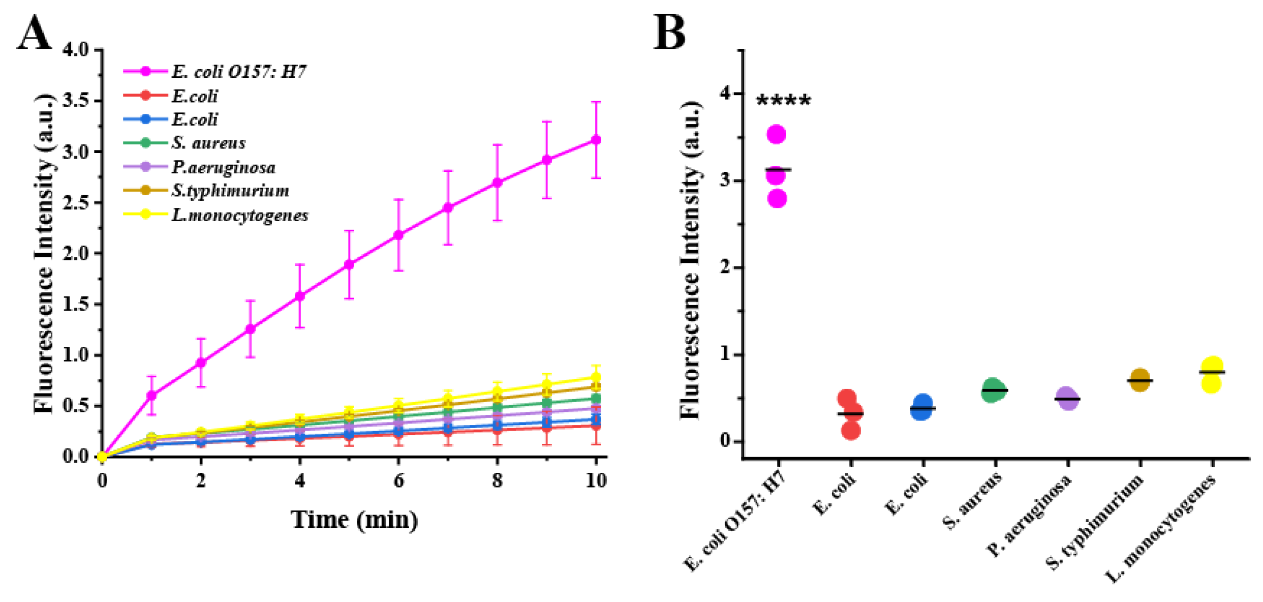 Biosensors 13 00659 g004