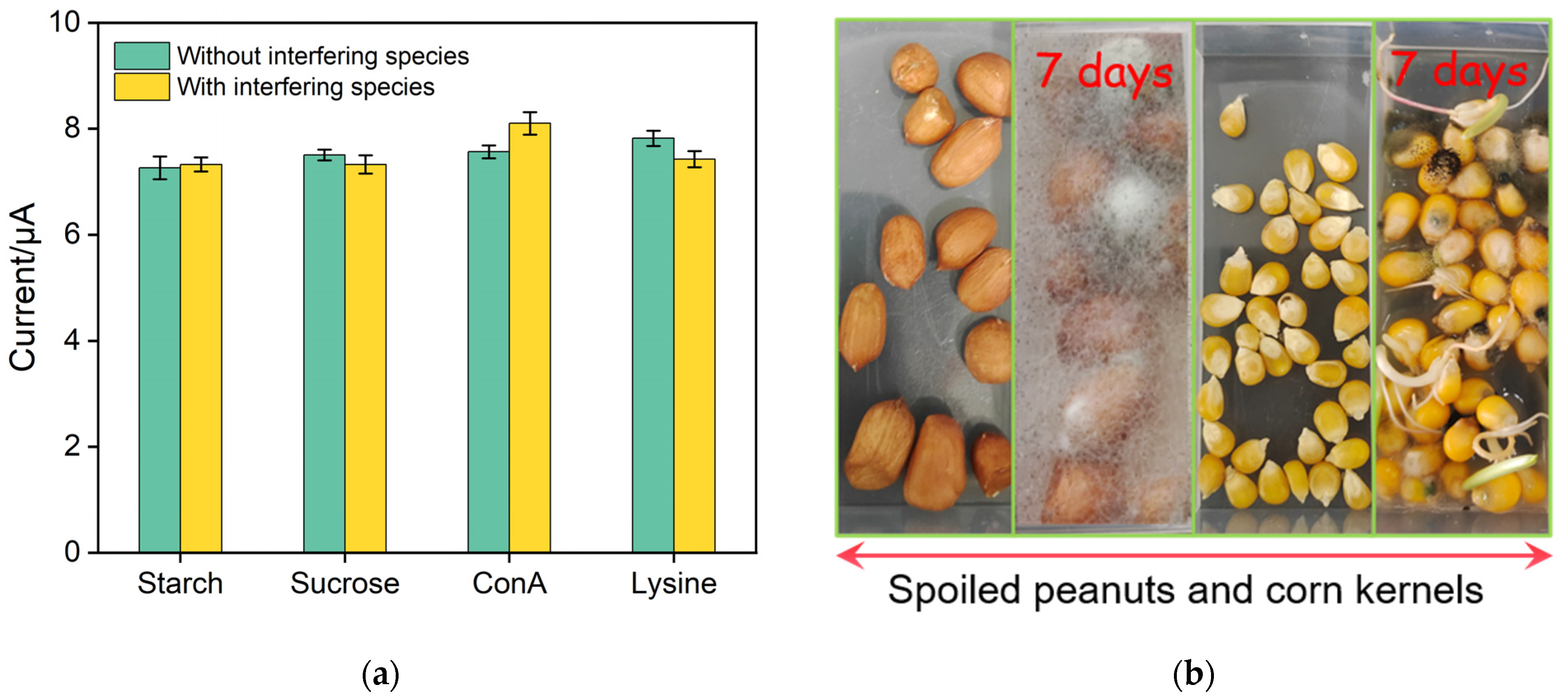 Biosensors 13 00661 g007 Biosensors 13 00661 g007
