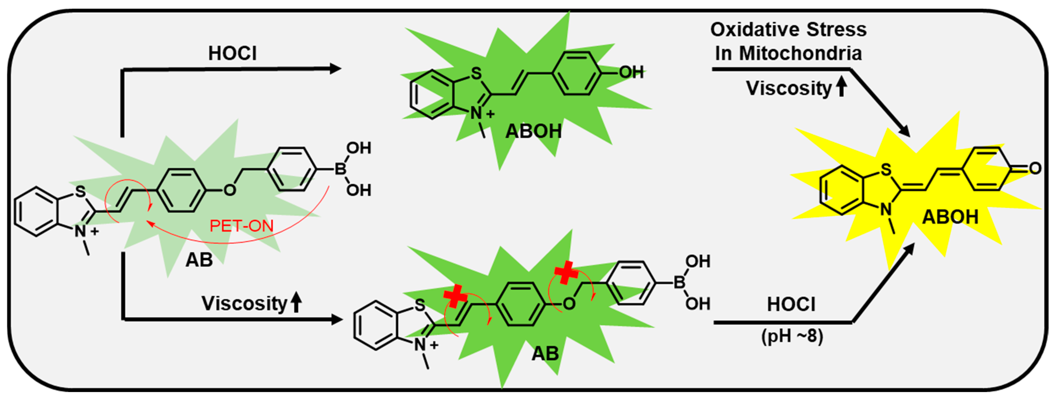 Biosensors 13 00662 g001