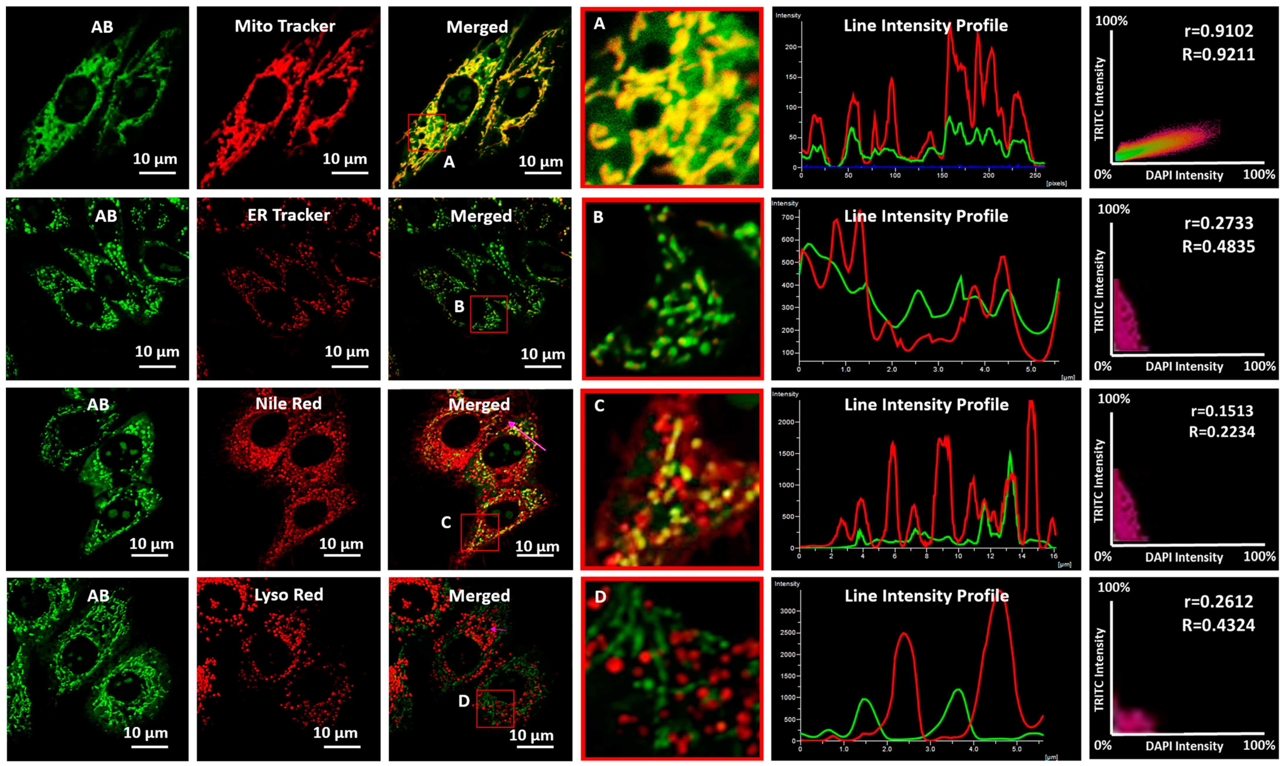 Biosensors 13 00662 g003