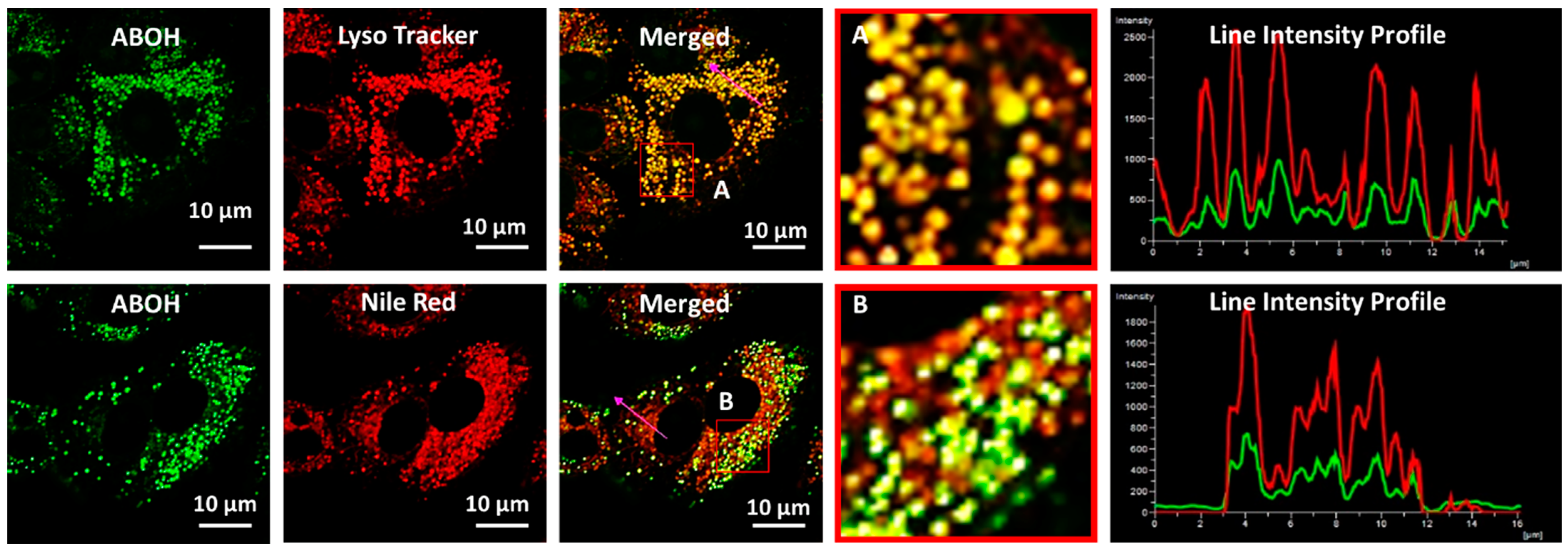 Biosensors 13 00662 g006