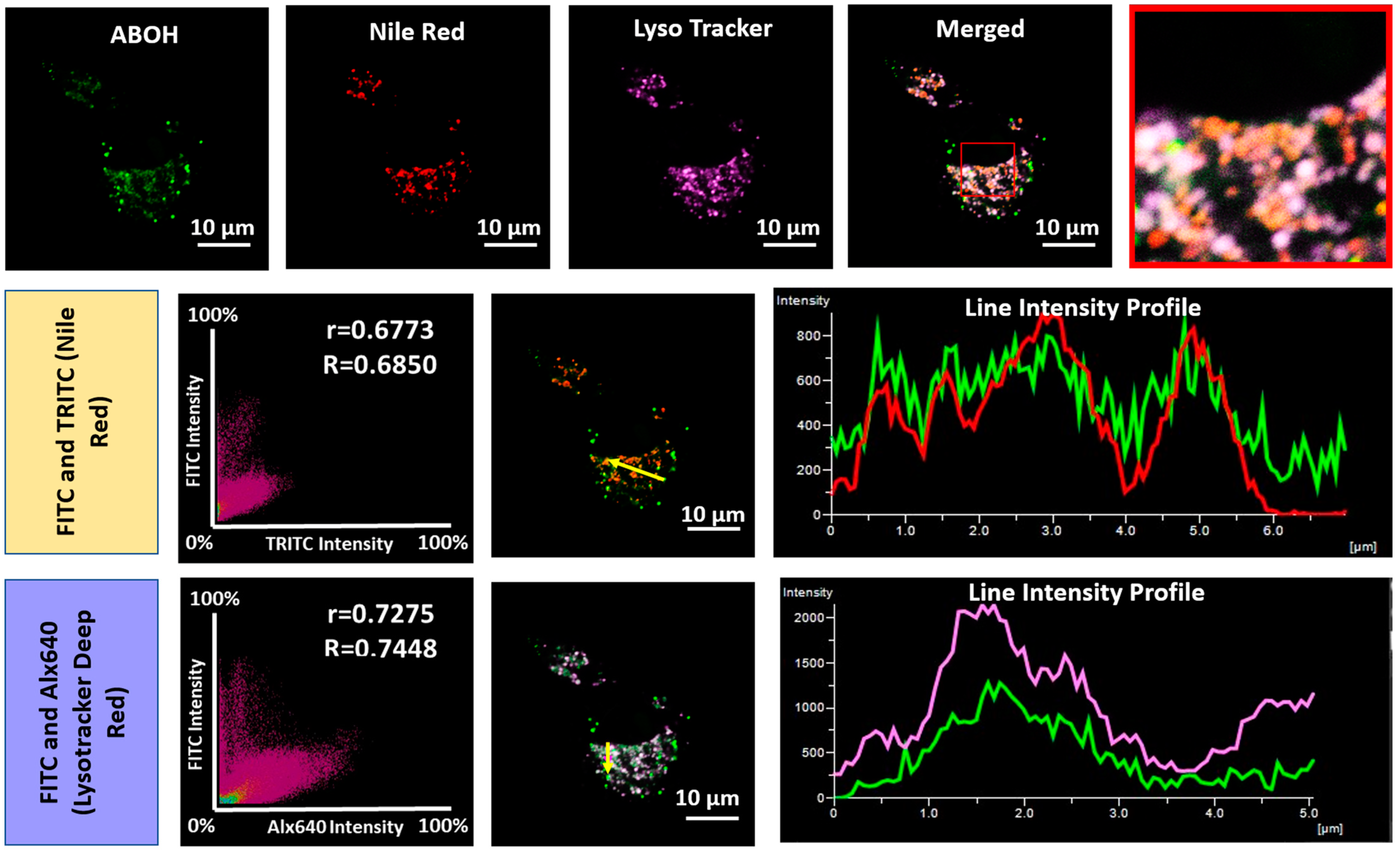 Biosensors 13 00662 g007