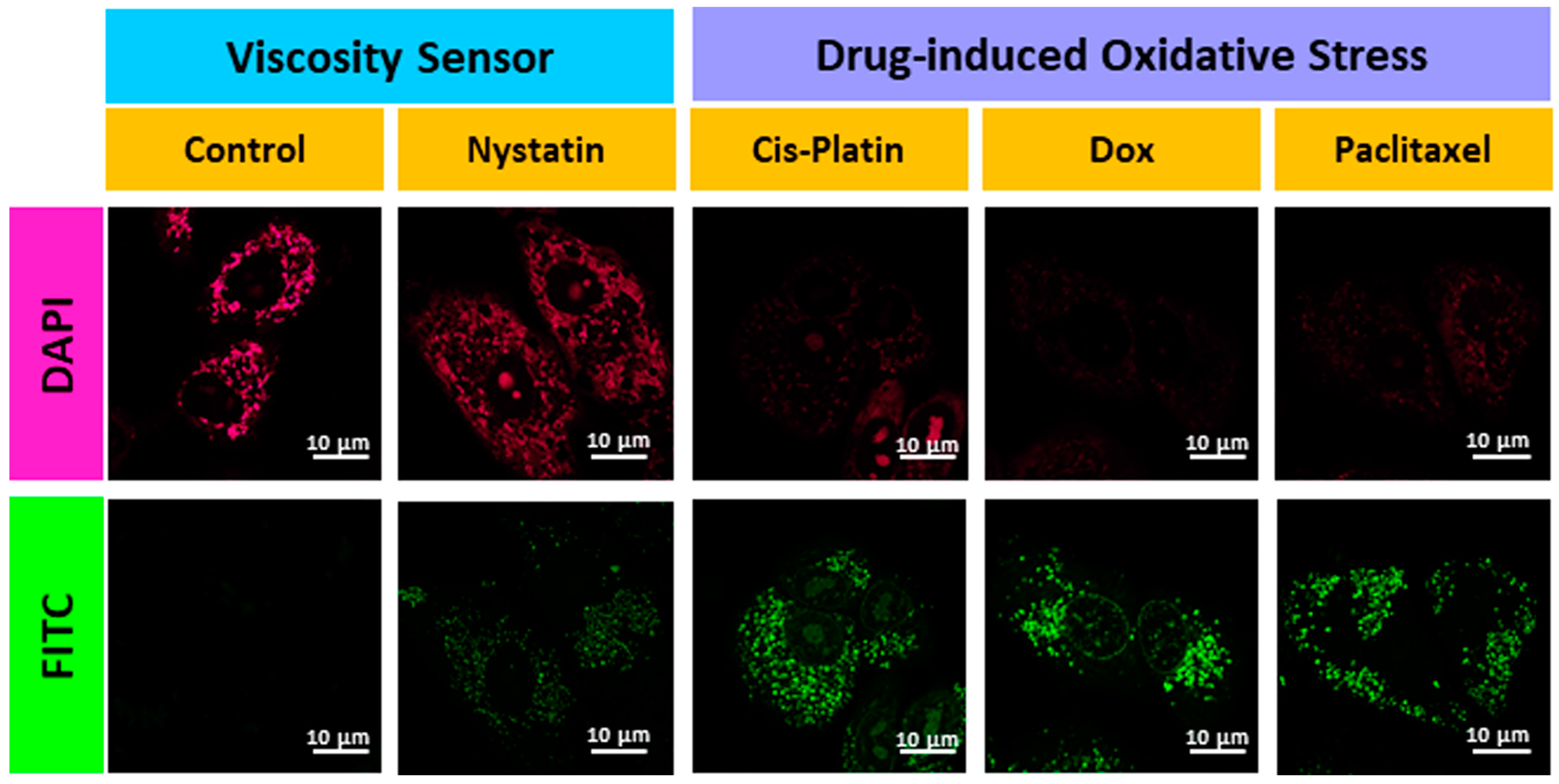Biosensors 13 00662 g008