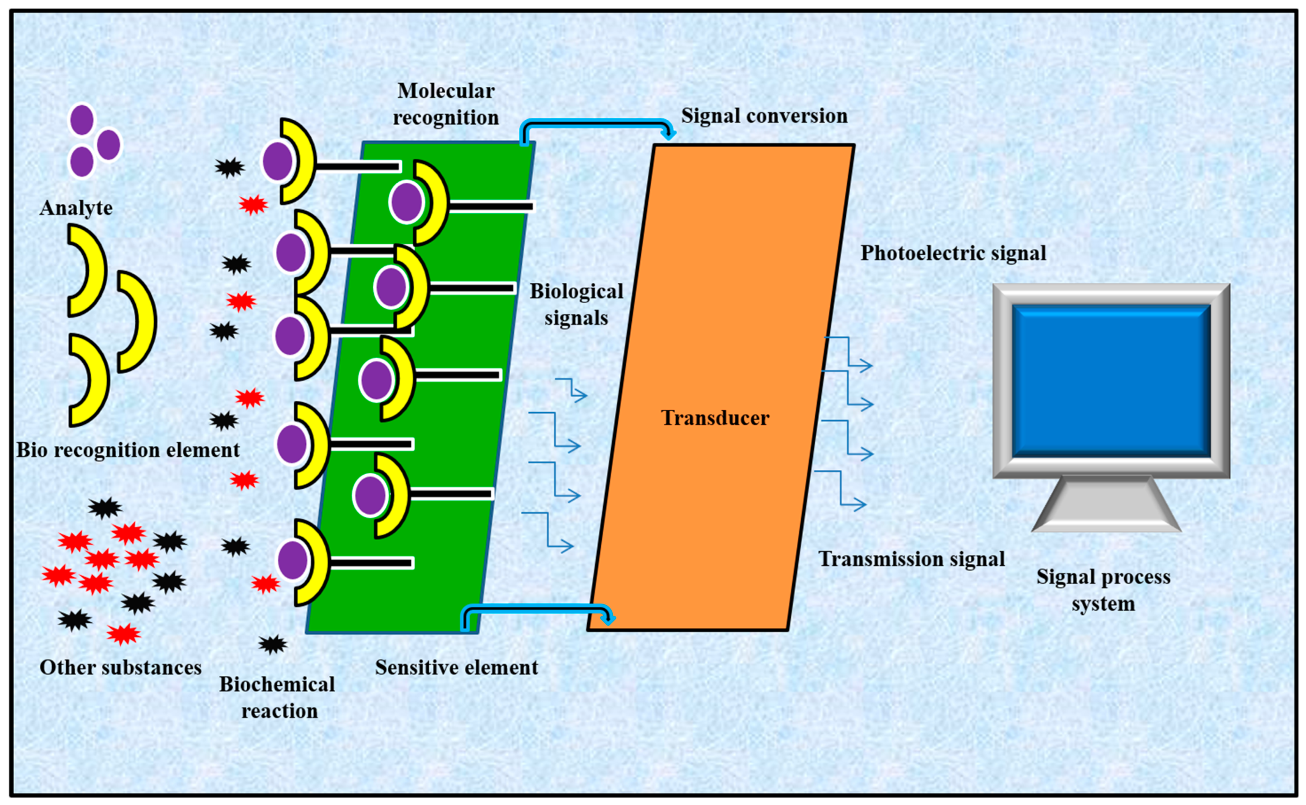 Biosensors 13 00663 g001 Biosensors 13 00663 g001